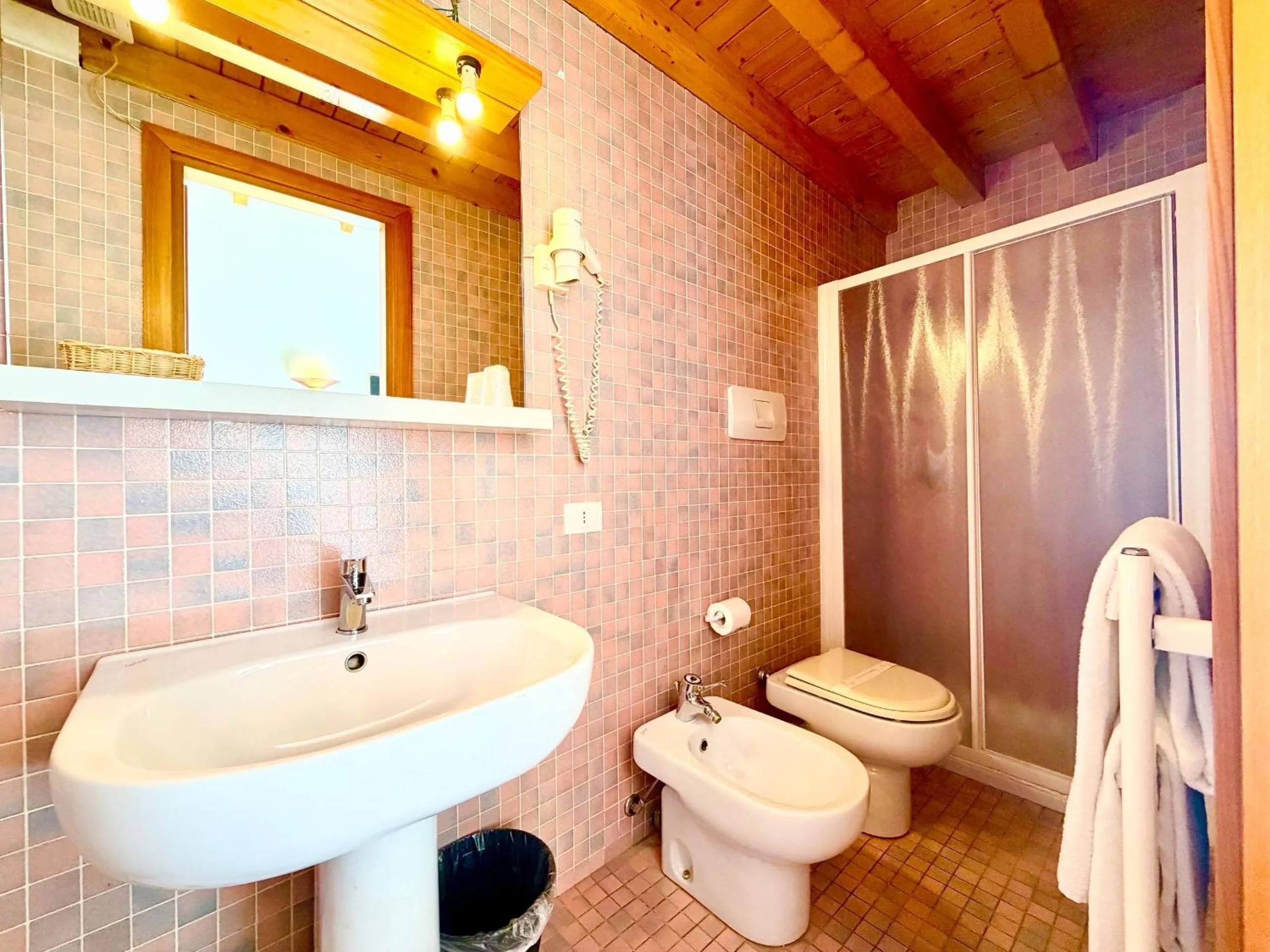 Shower in Hotel New Genziana