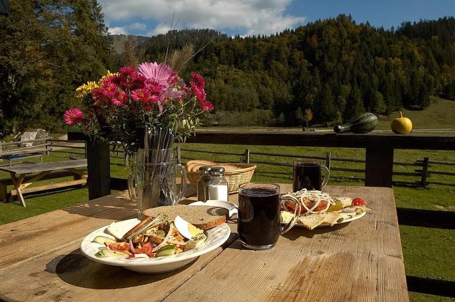 Garden in Hotel Garni Landhaus Traunbachhäusl