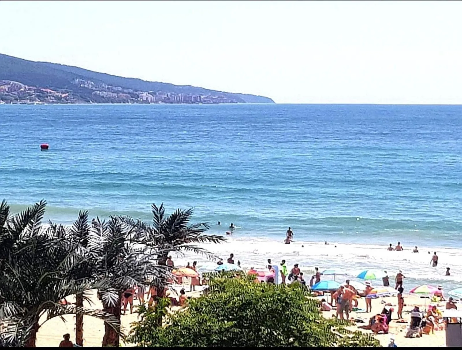 Property building in Hotel Largo Beach