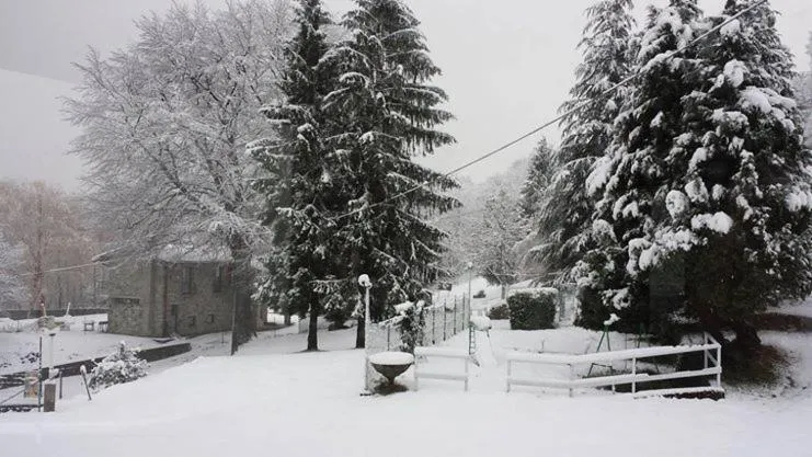 Garden in Nouveau Mirabeau