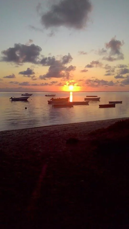Natural landscape in Eden Villa