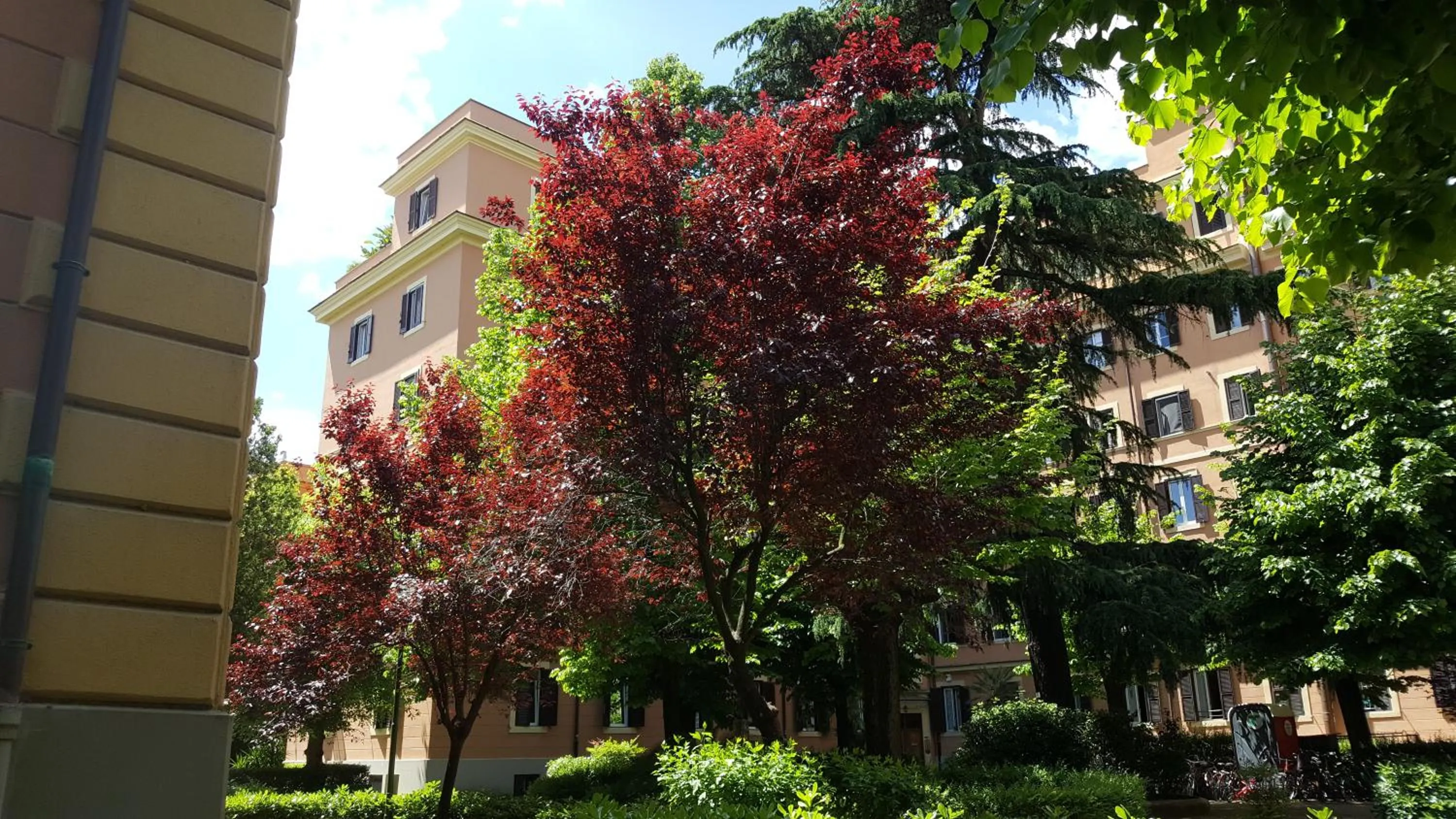 Garden in Bed & Breakfast A Casa di Lia a Roma