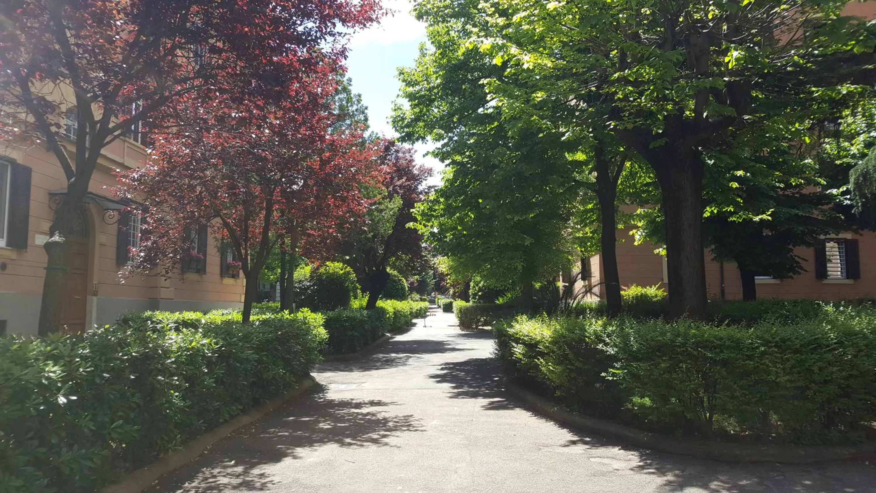 Garden in Bed & Breakfast A Casa di Lia a Roma