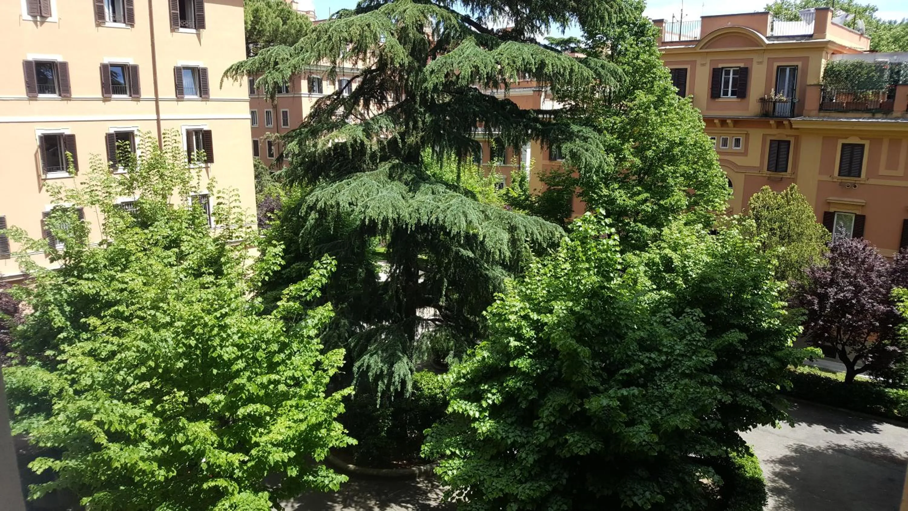Garden in Bed & Breakfast A Casa di Lia a Roma