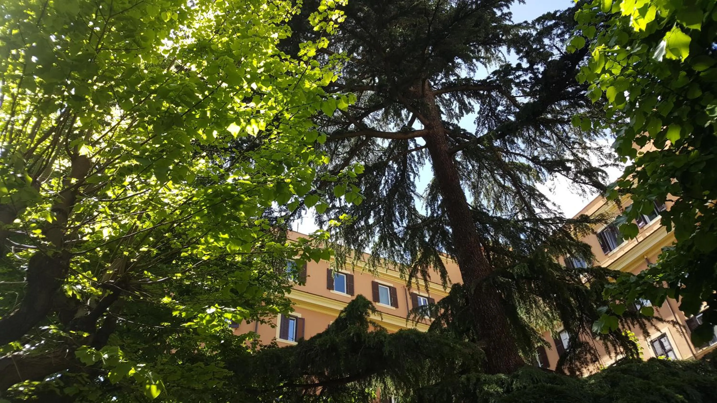 Garden in Bed & Breakfast A Casa di Lia a Roma