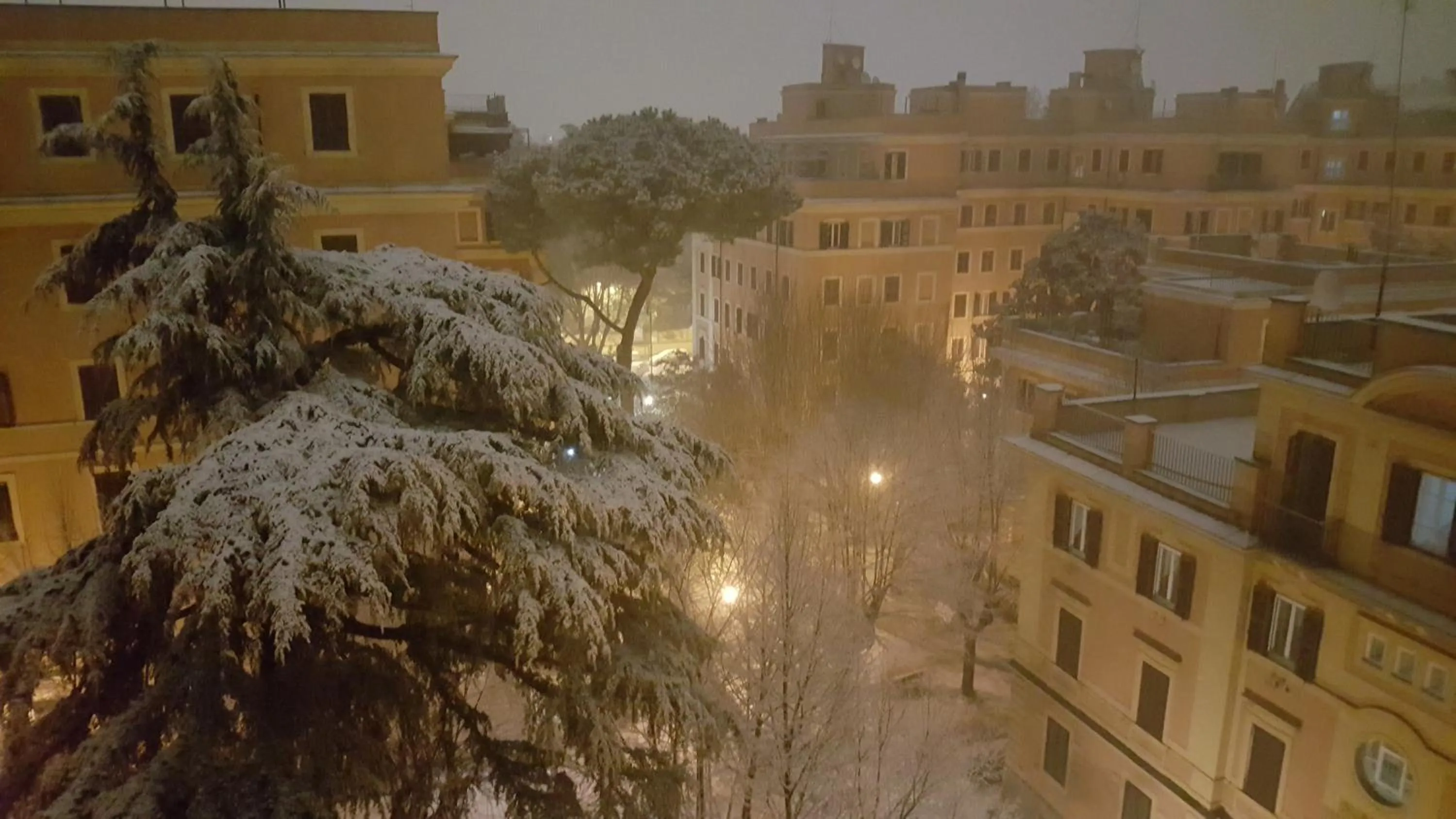 Garden view in Bed & Breakfast A Casa di Lia a Roma
