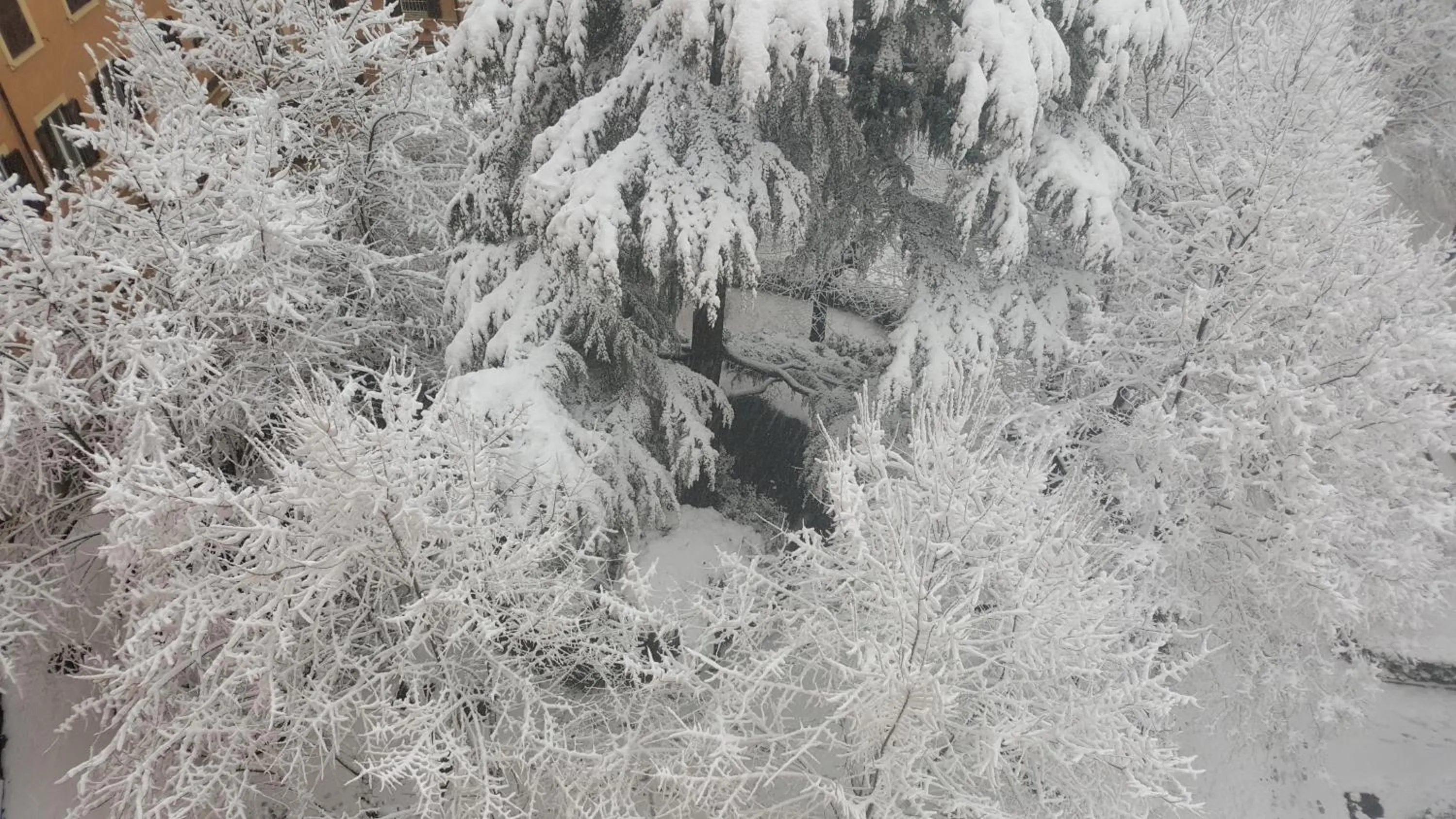 Garden view in Bed & Breakfast A Casa di Lia a Roma