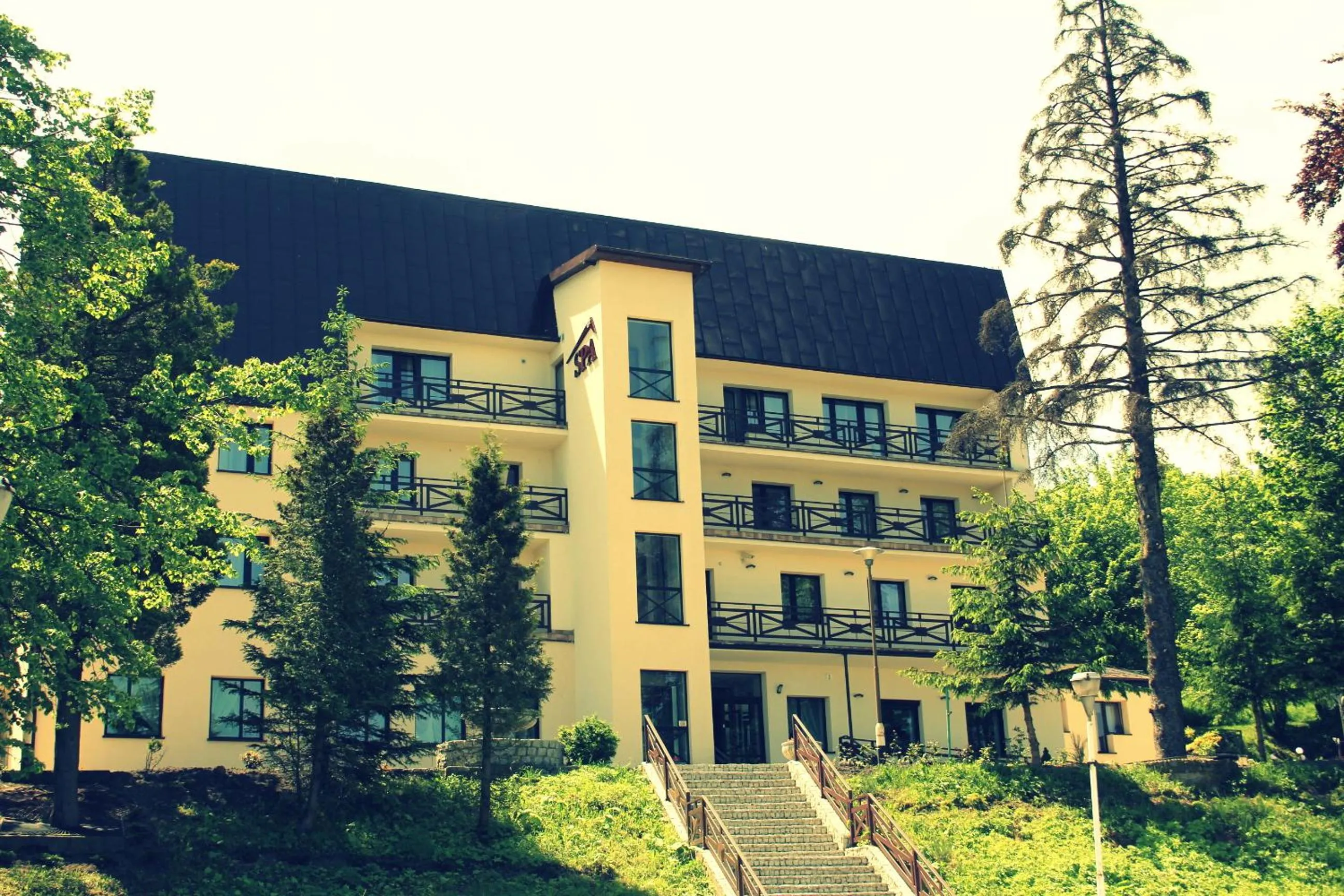 Property building in Sadyba SPA