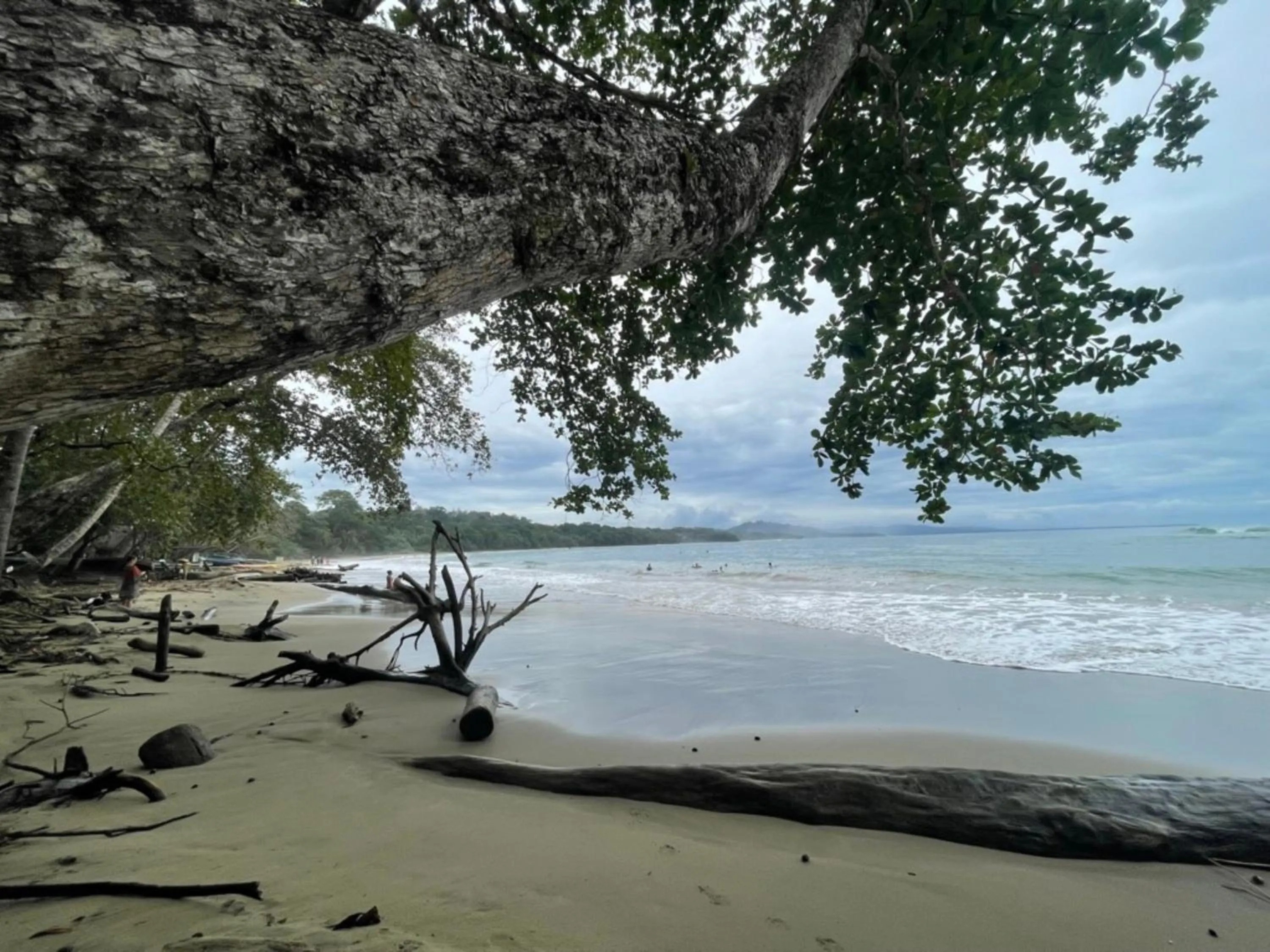 Activities in Pangea Lodge with Shared Pool at the Heart of Manzanillo