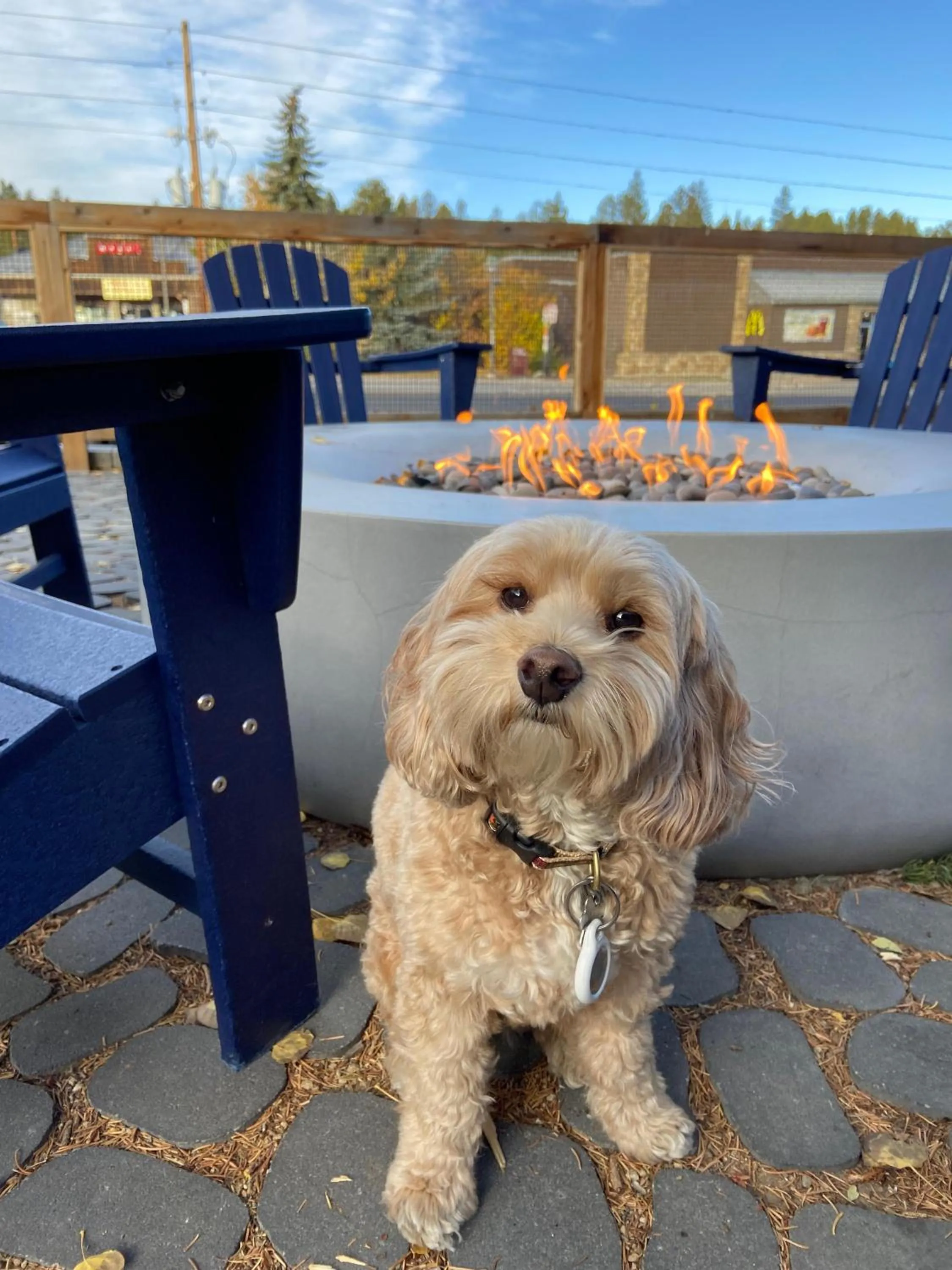 Gravity Haus Winter Park