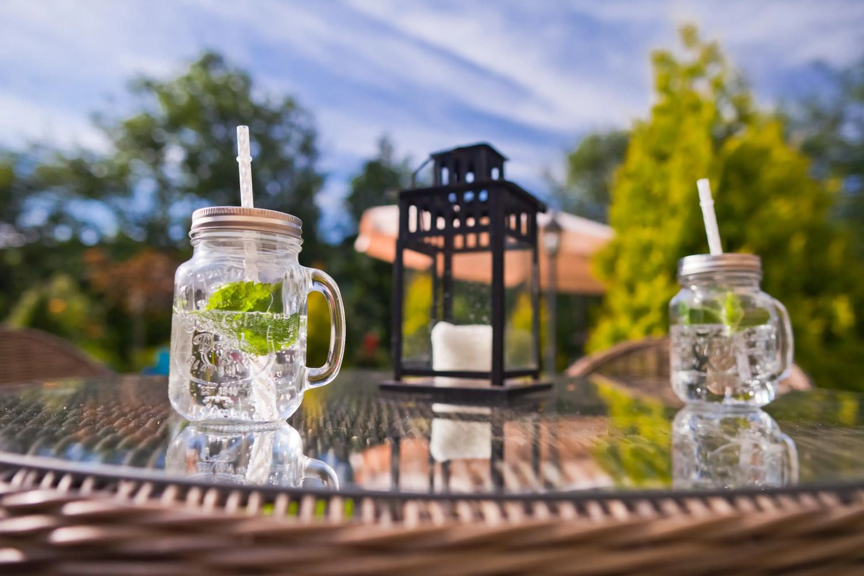 Other in Willa Trela