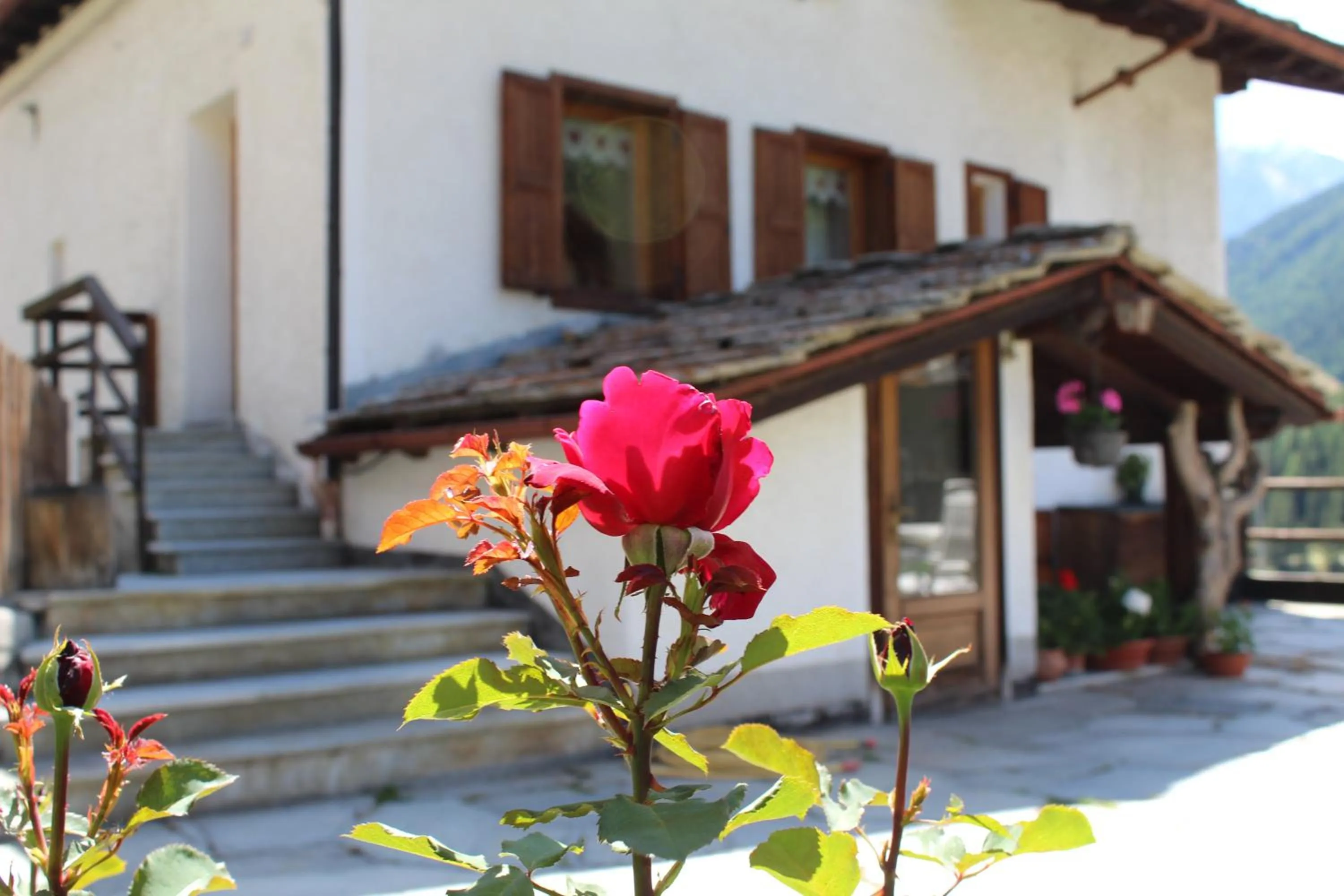 Balcony/Terrace in Residence Pavou