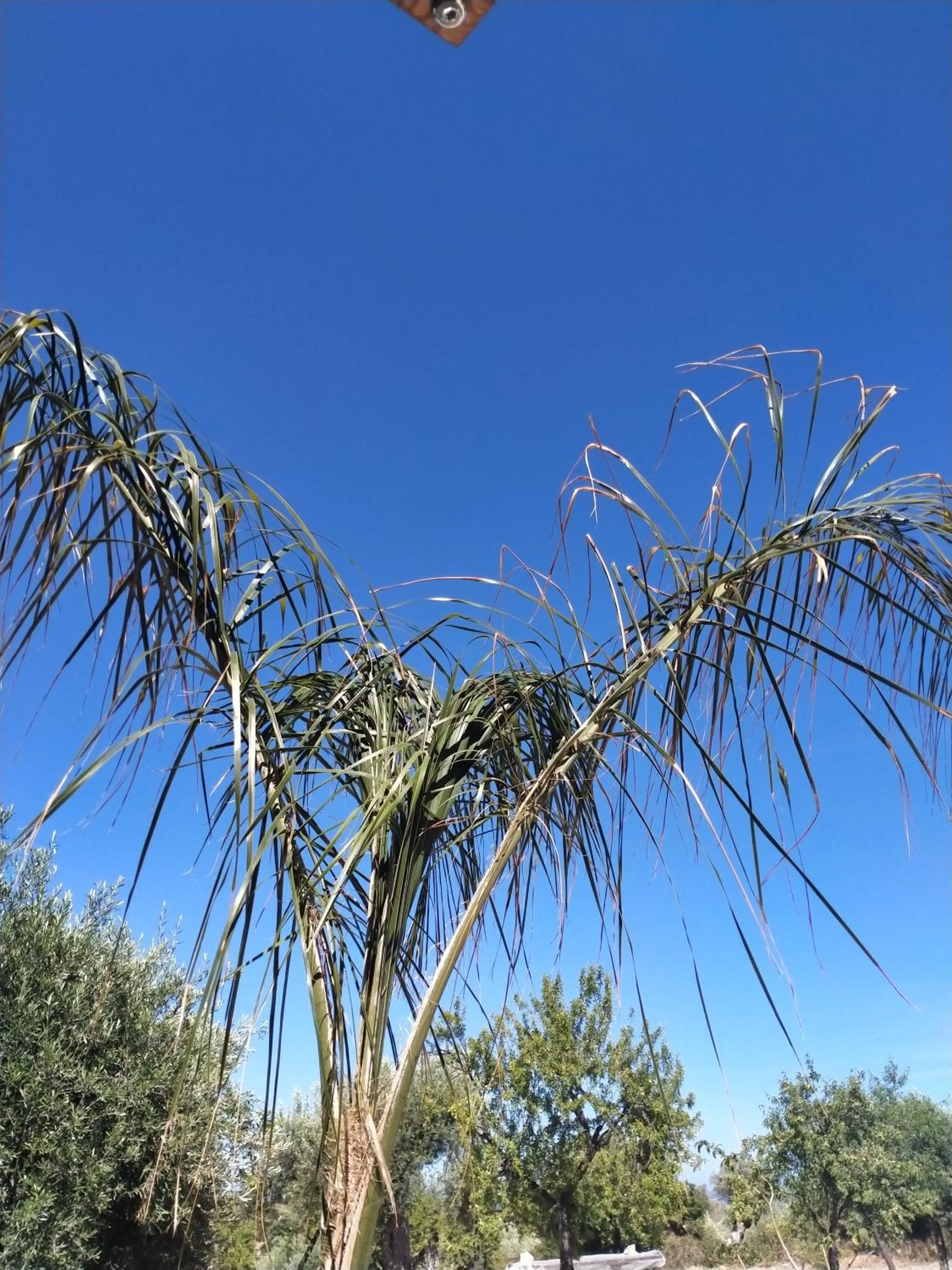 Natural landscape in LUCCICAMARE family-run BeB
