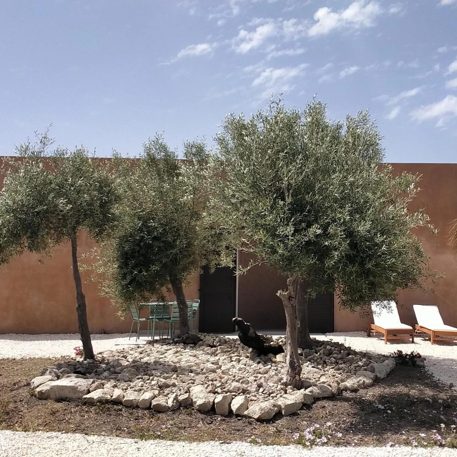 Garden in LUCCICAMARE family-run BeB