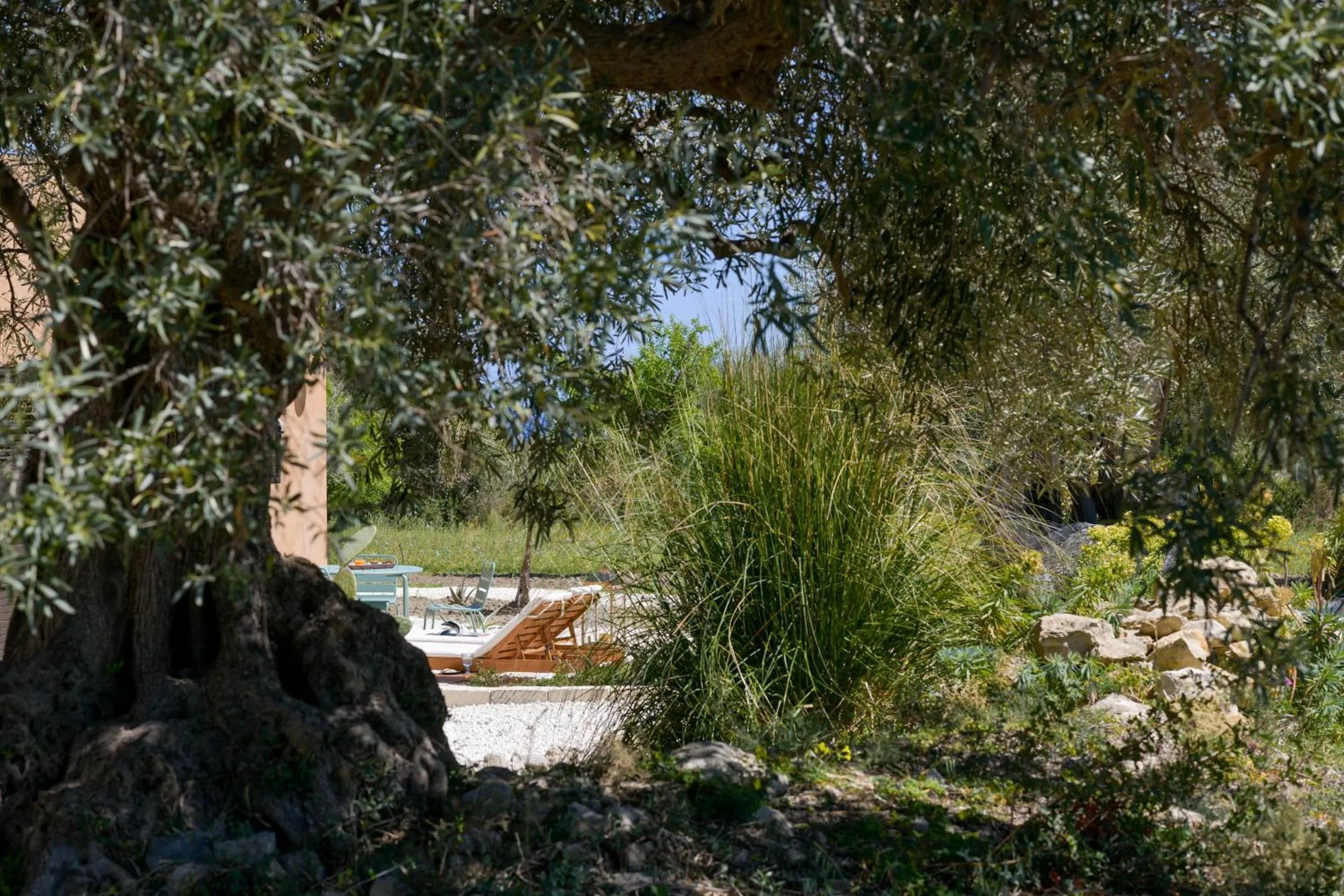 Garden in LUCCICAMARE family-run BeB