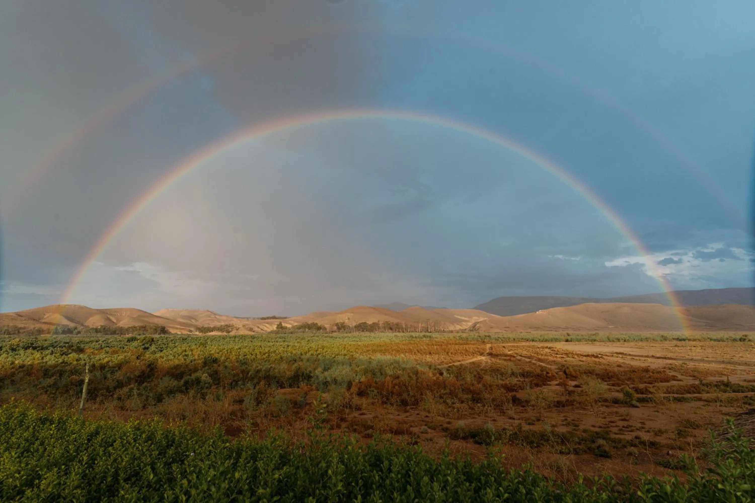 View (from property/room) in Kalyptus Luxury Camp