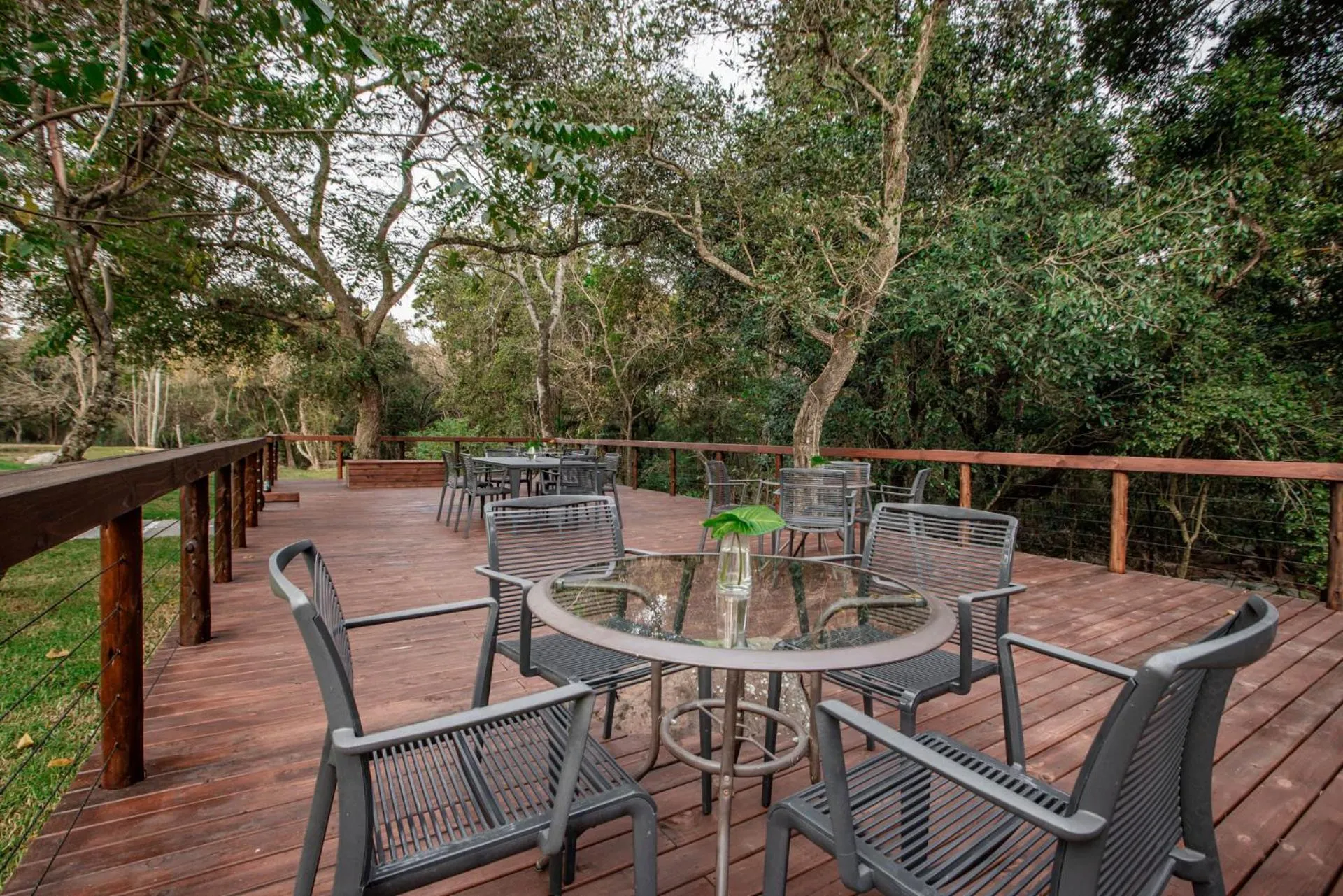 Bushbaby Valley Lodge