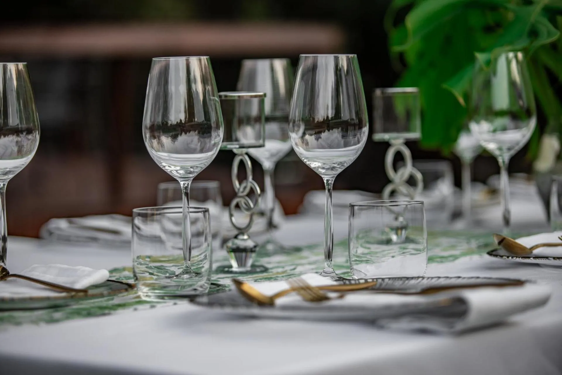 Restaurant/places to eat in Bushbaby Valley Lodge