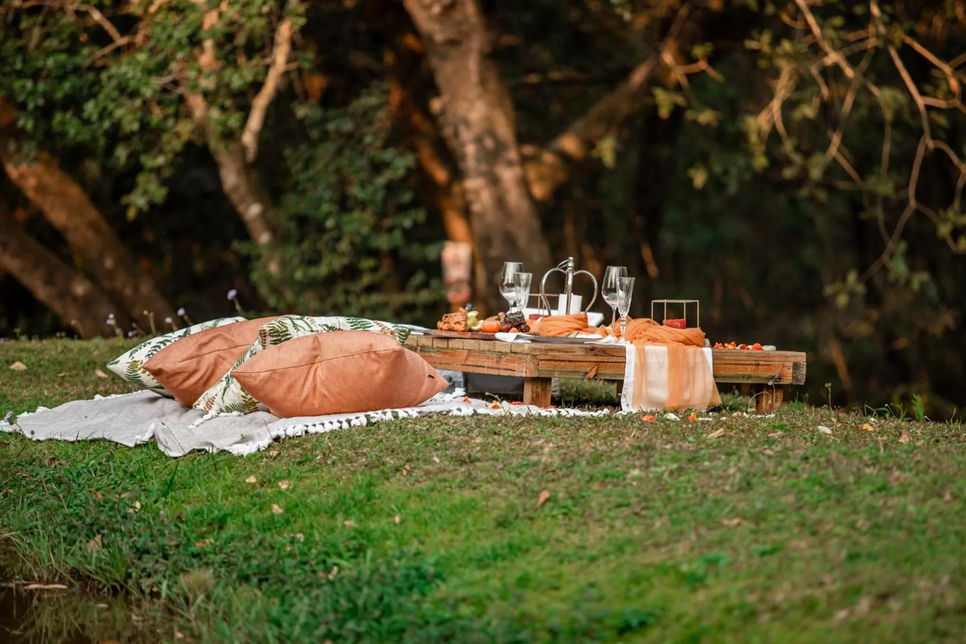 Garden in Bushbaby Valley Lodge