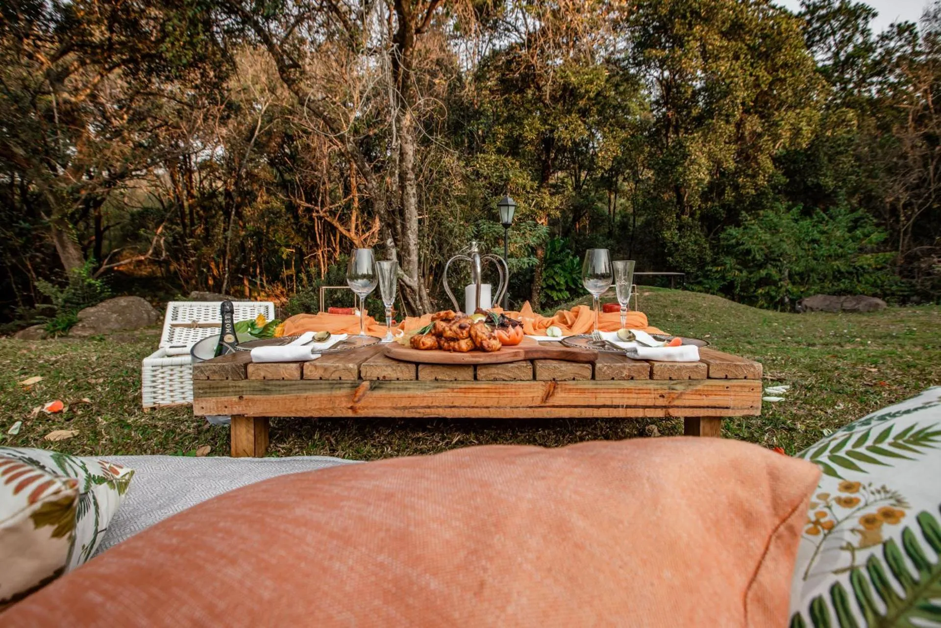 Garden in Bushbaby Valley Lodge