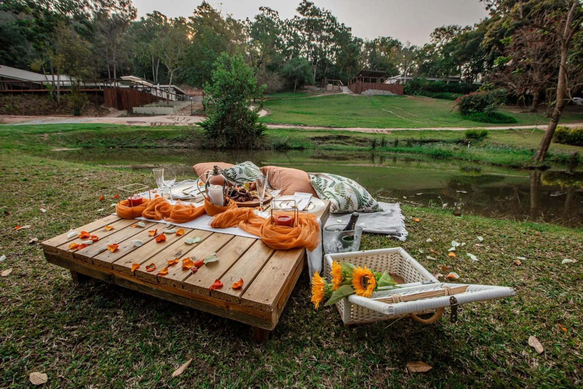 Garden in Bushbaby Valley Lodge