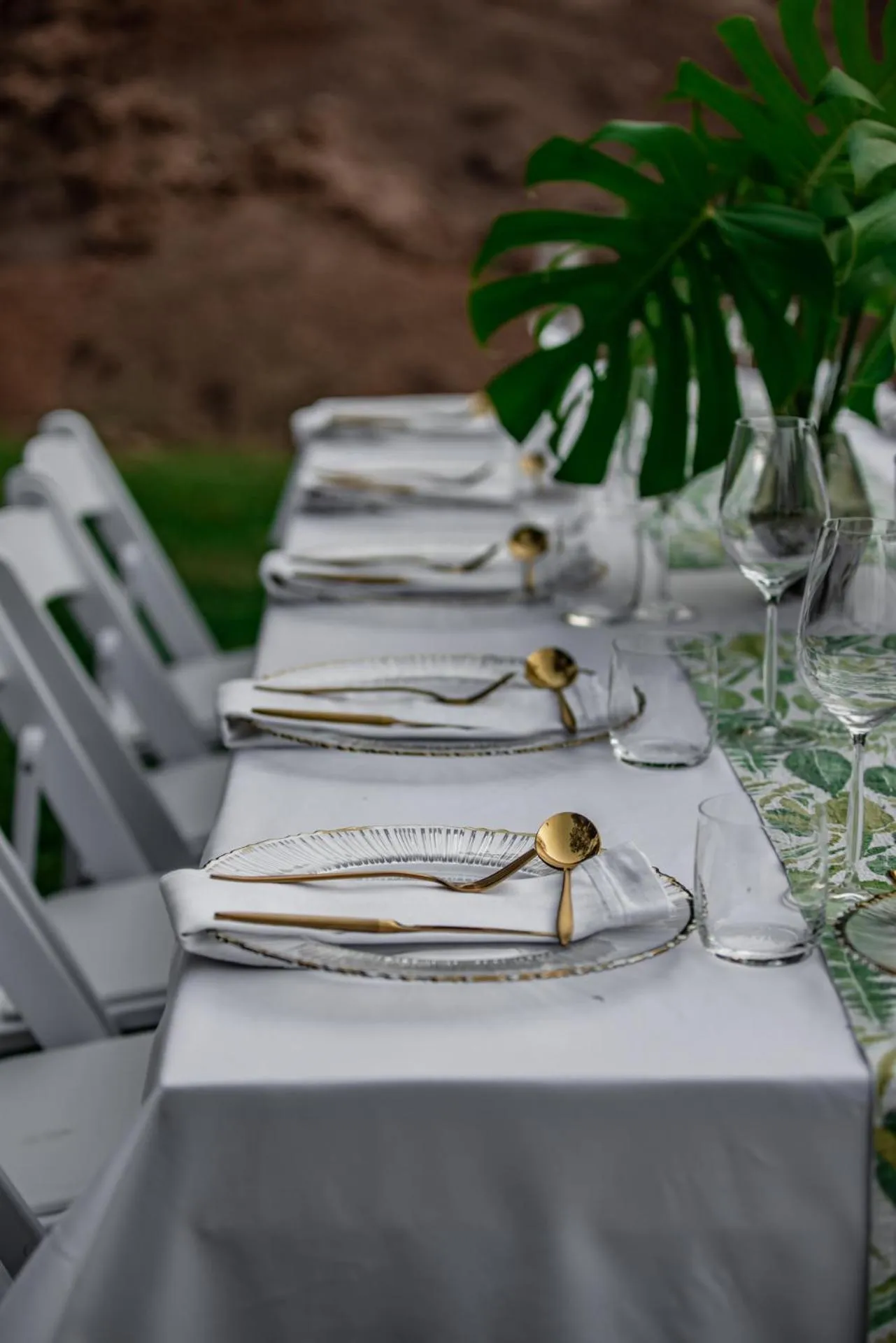 Bushbaby Valley Lodge