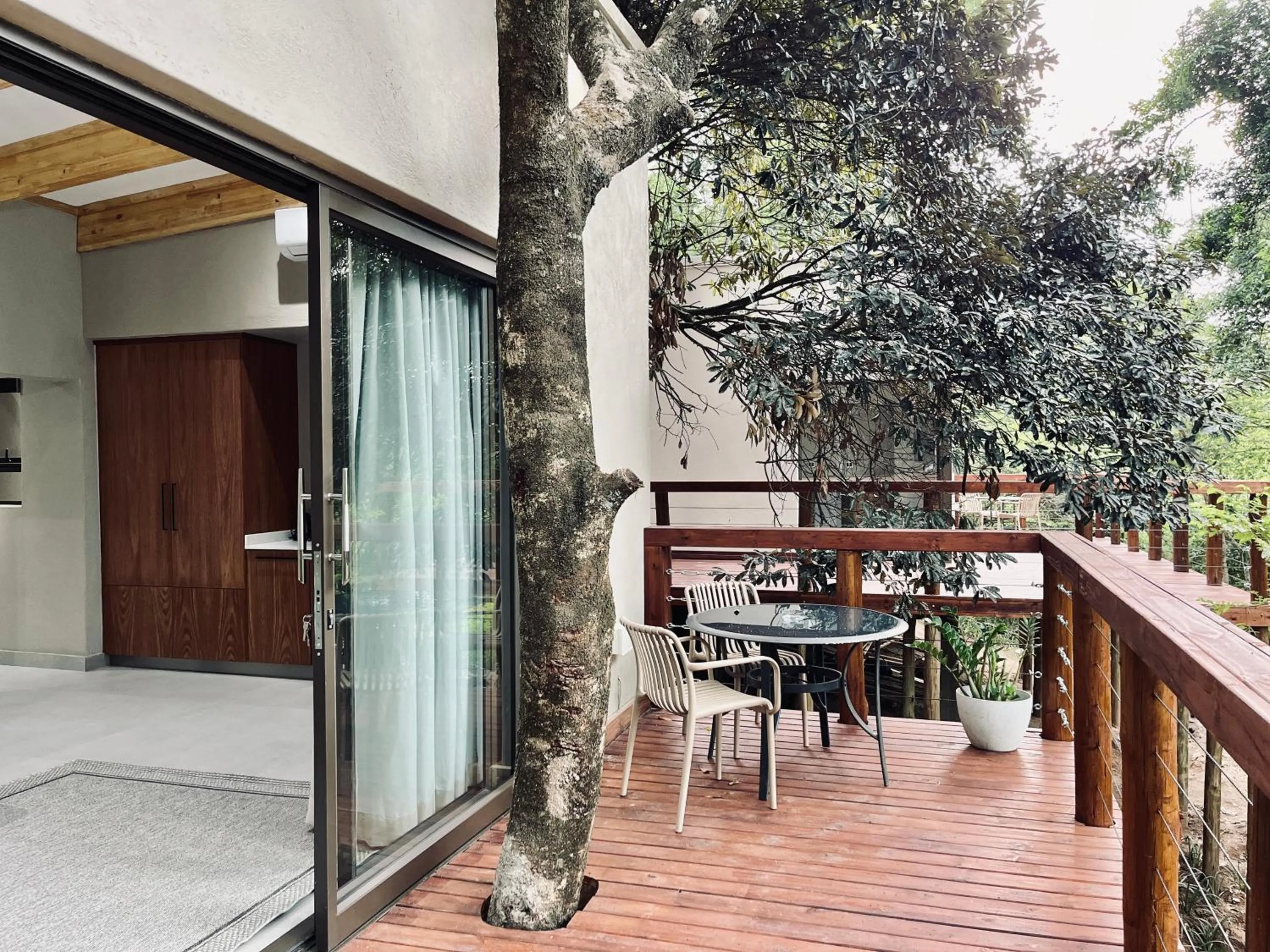 Bushbaby Valley Lodge