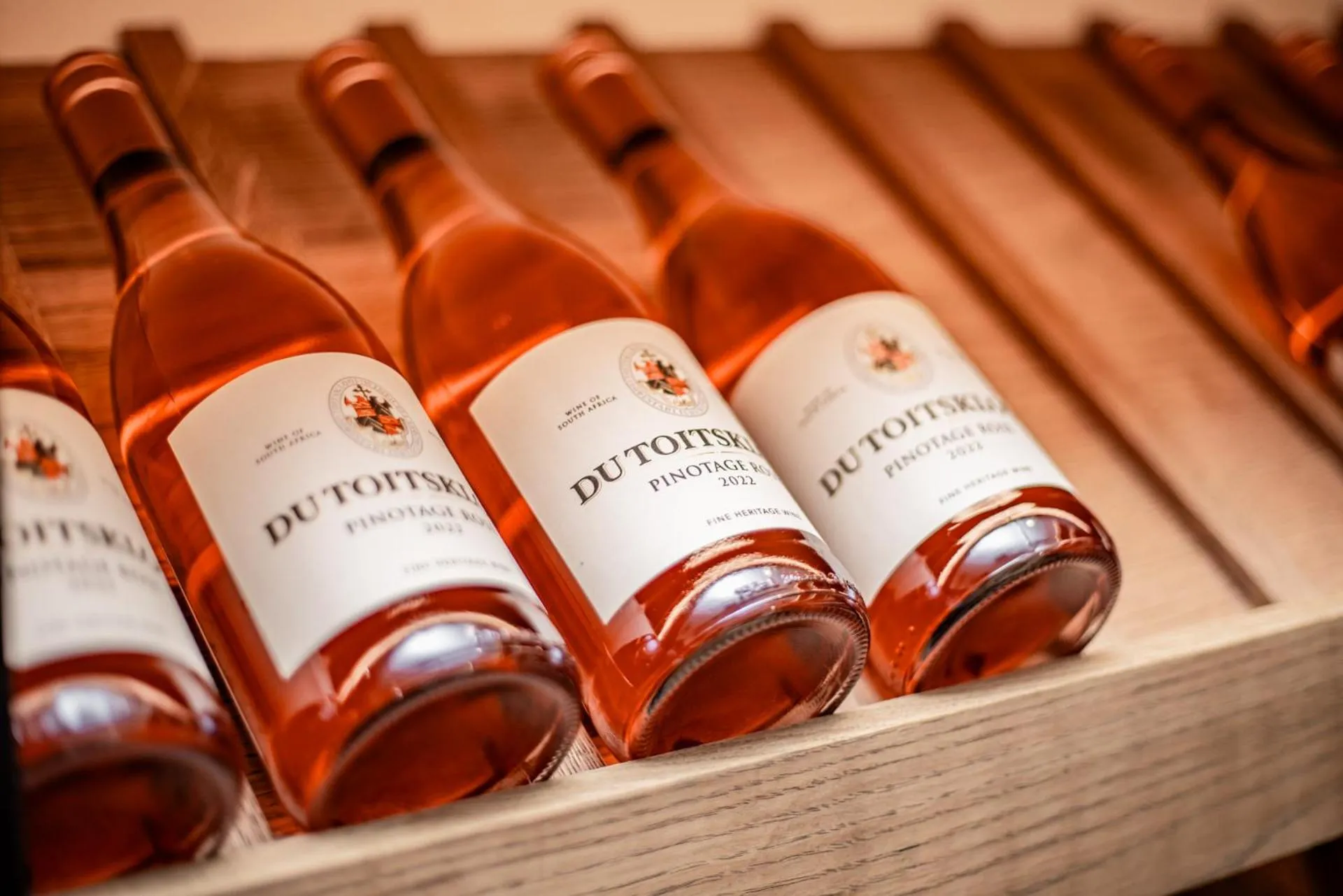 Bushbaby Valley Lodge