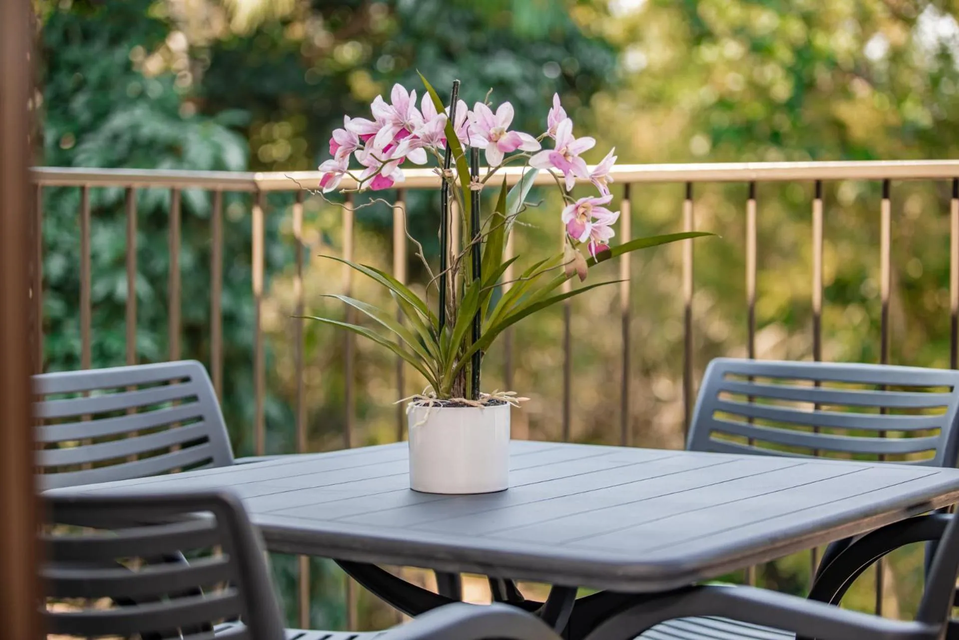 Bushbaby Valley Lodge