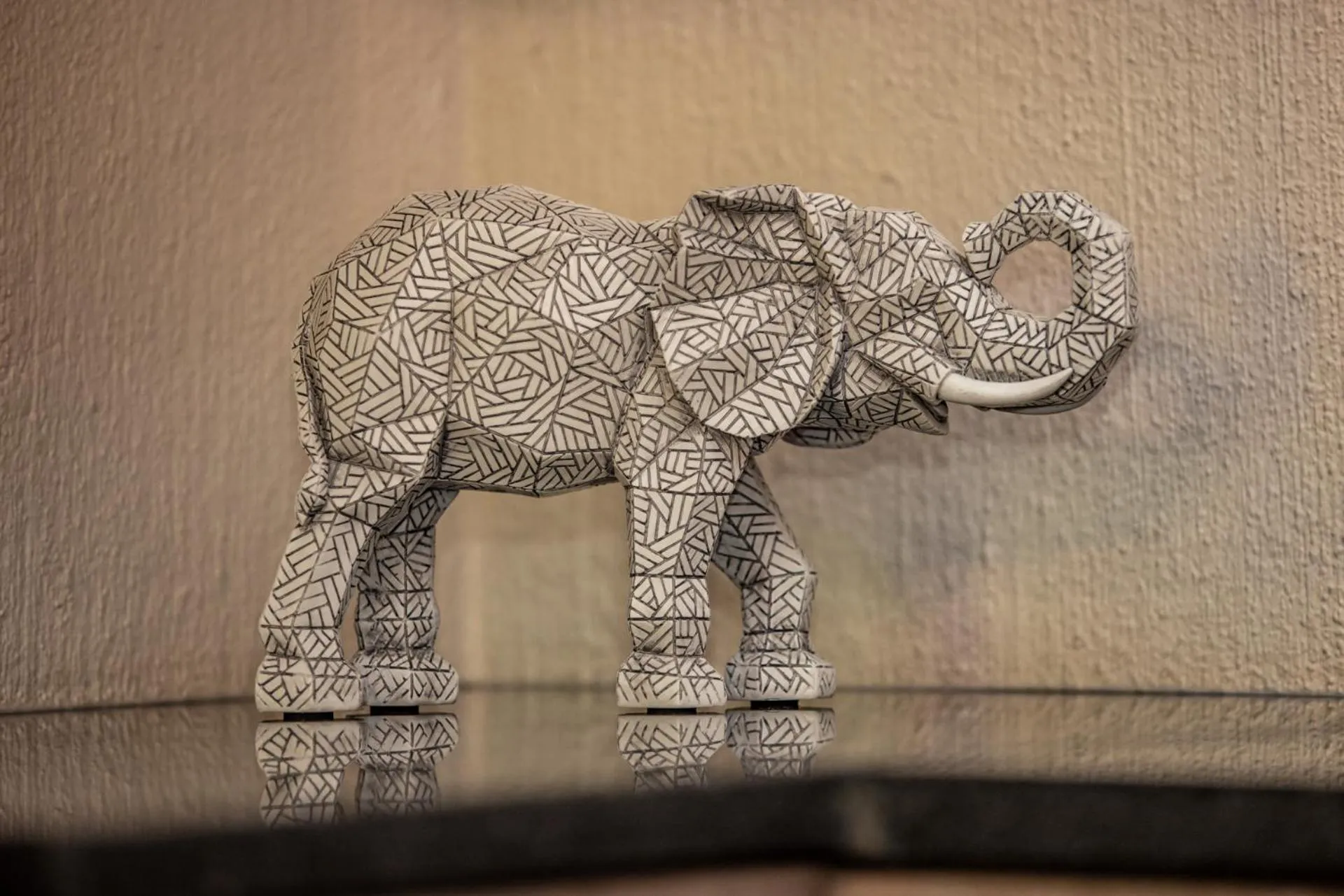 Bushbaby Valley Lodge