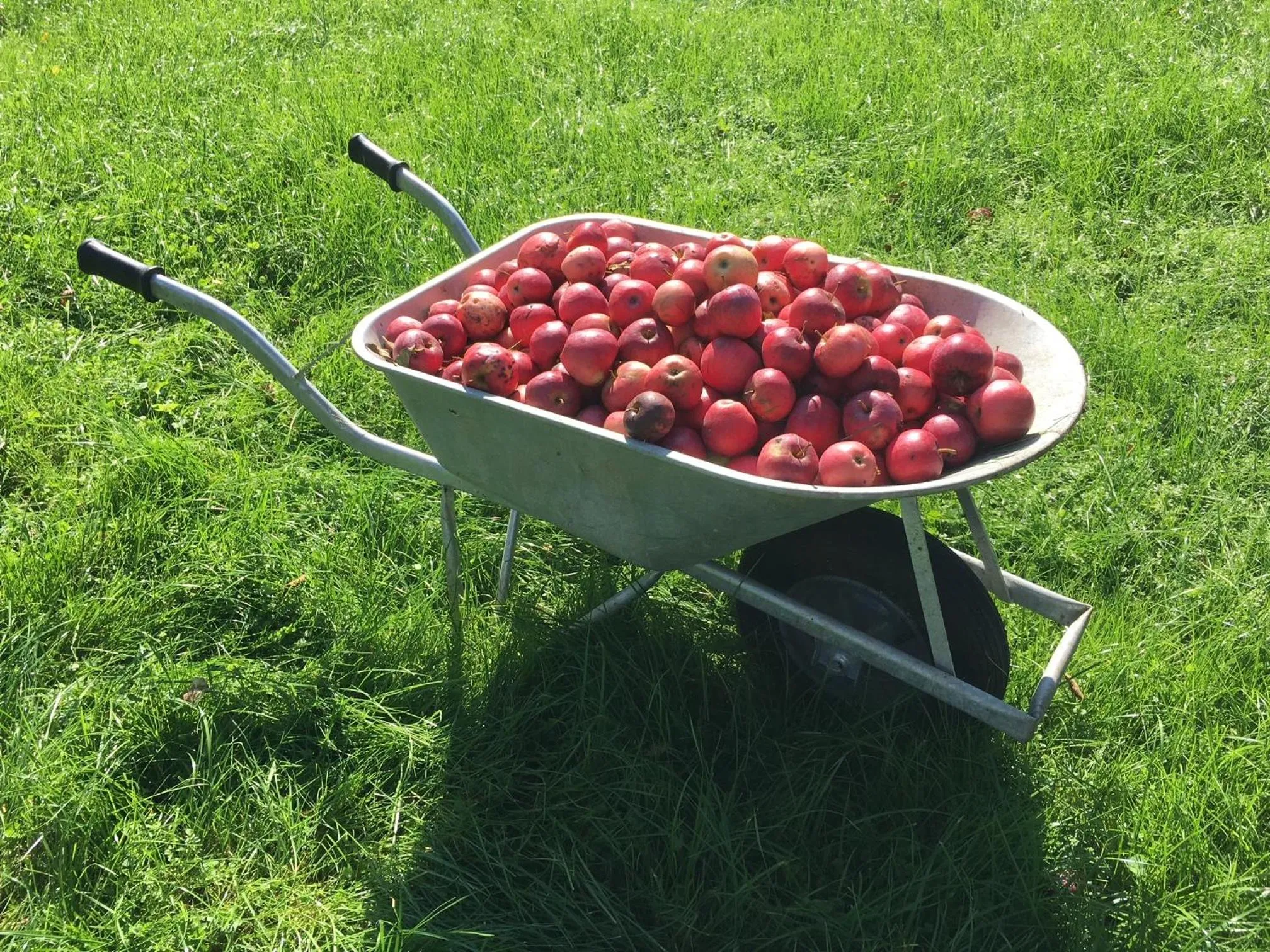 Autumn in Alpenhof Landhotel Restaurant