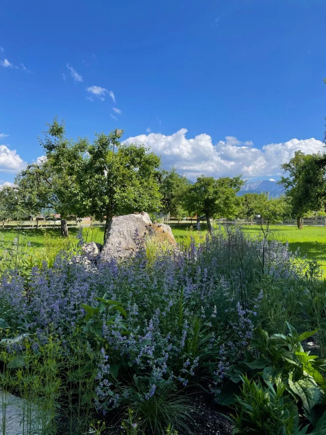 Garden view in Alpenhof Landhotel Restaurant