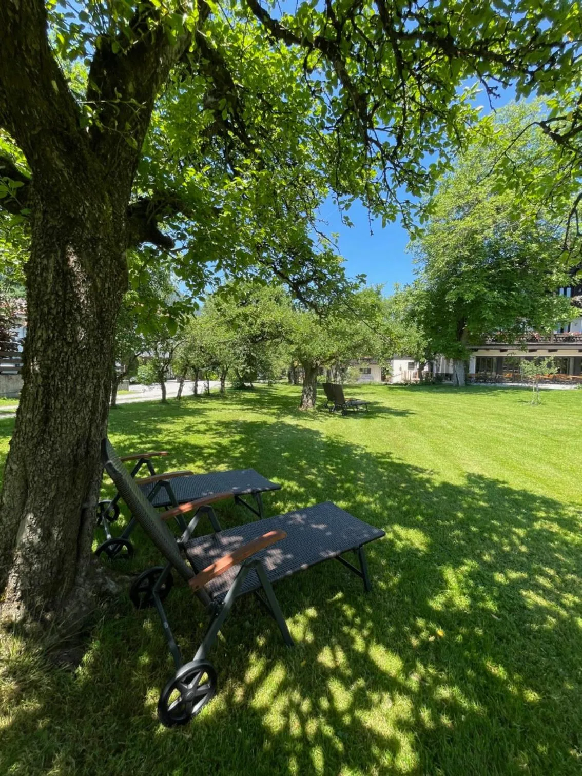 Garden in Alpenhof Landhotel Restaurant