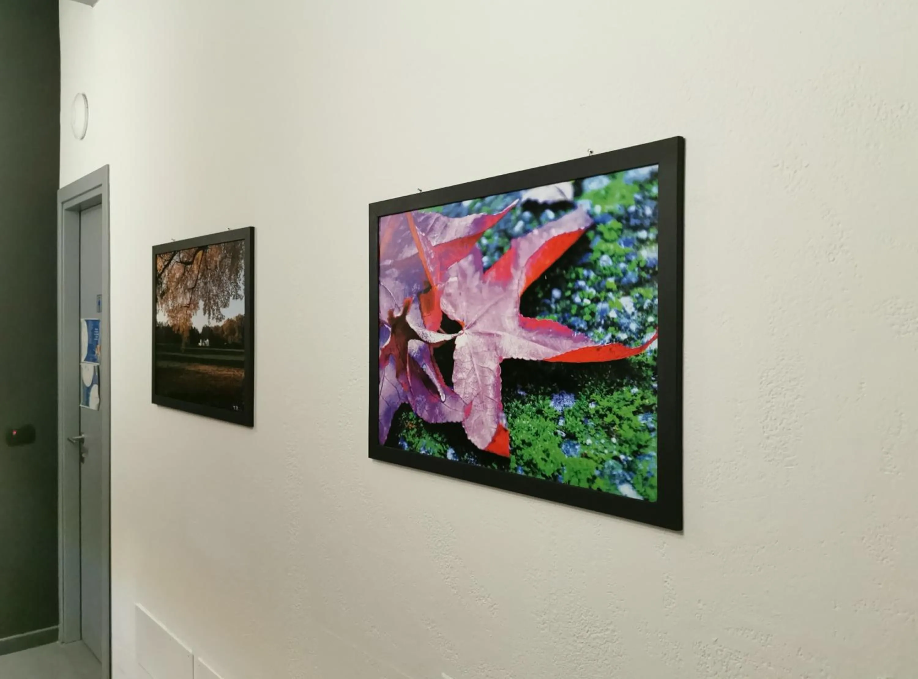 Decorative detail in B&B e Ostello, Parco di Monza, CASCINA COSTA ALTA