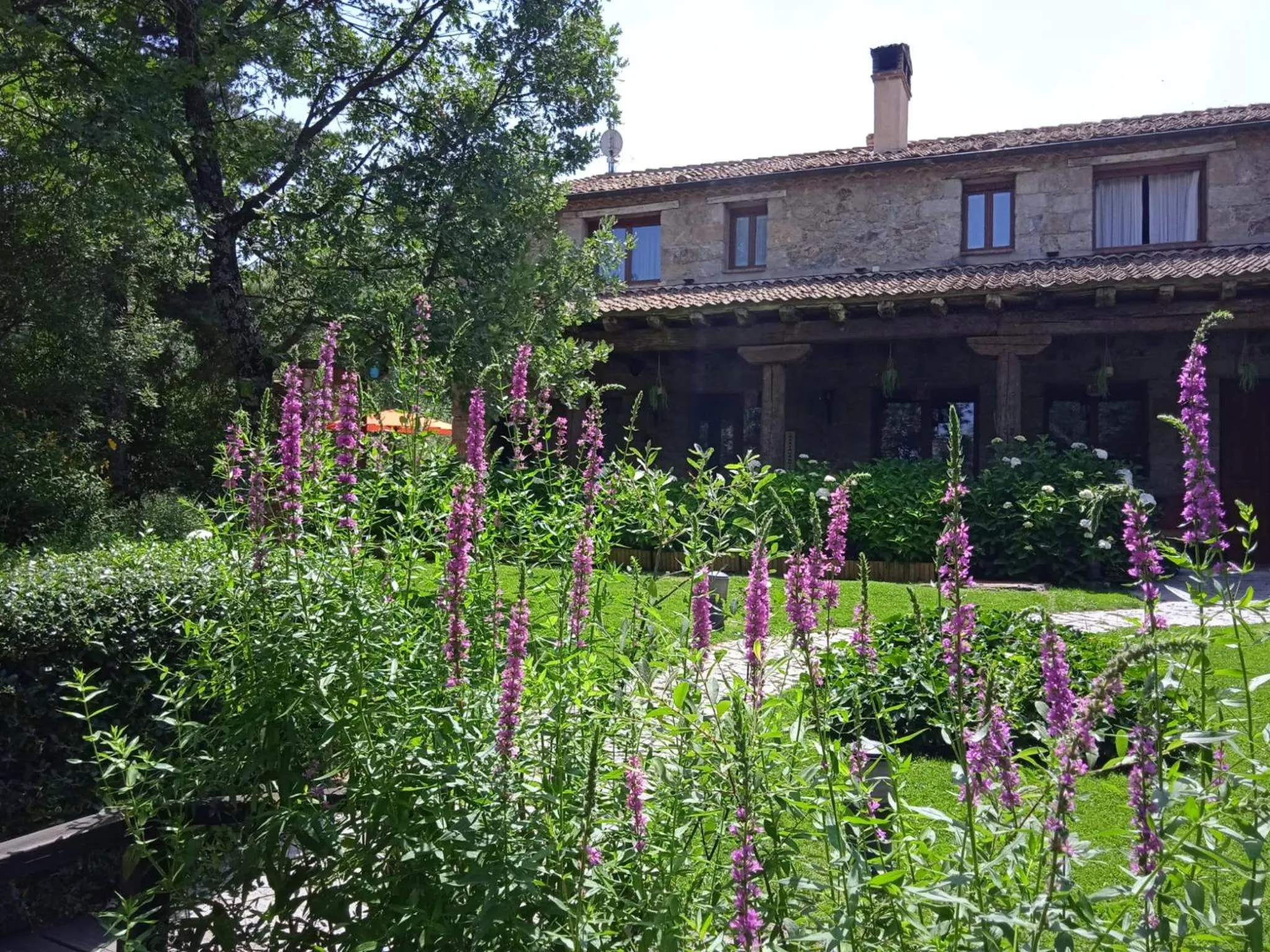 Property building in Posada Restaurante Fuenteplateada