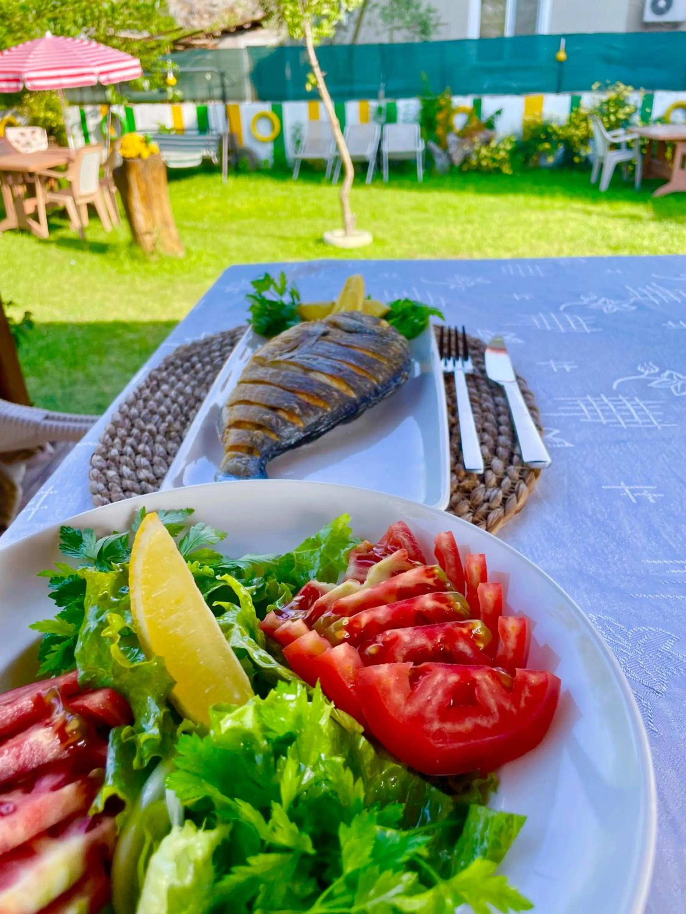 Garden in Dalaman Airport AliBaba Hotel