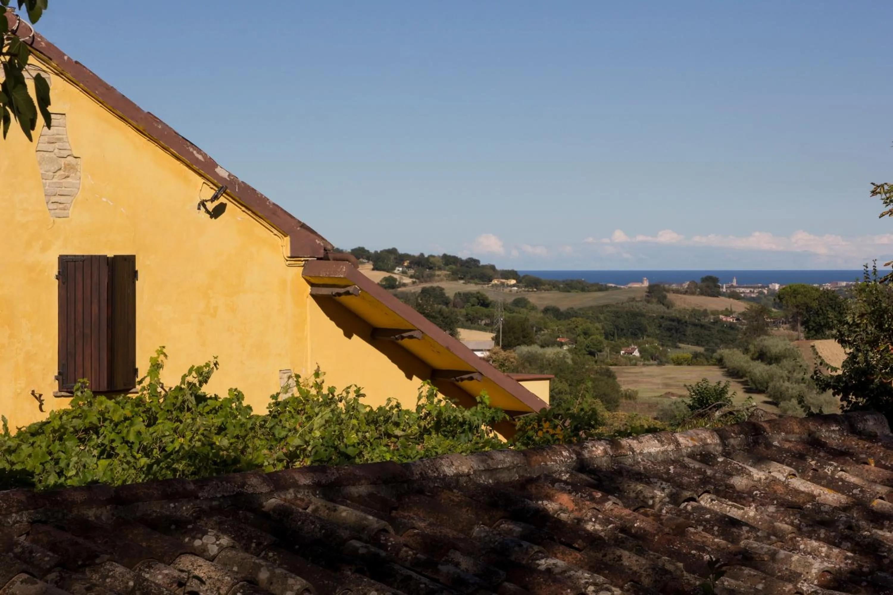 View (from property/room) in B&B Salvarosa