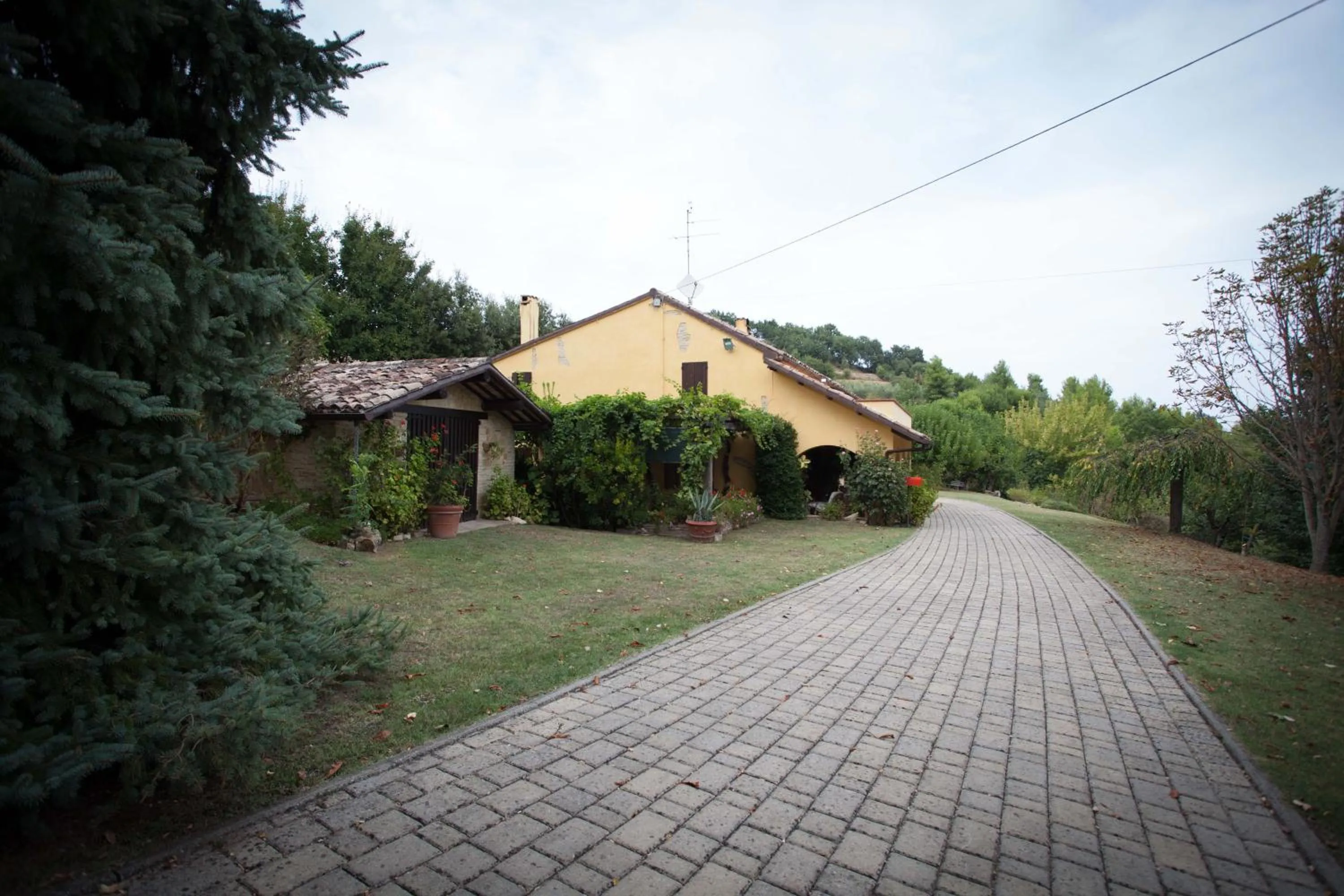 Property building in B&B Salvarosa