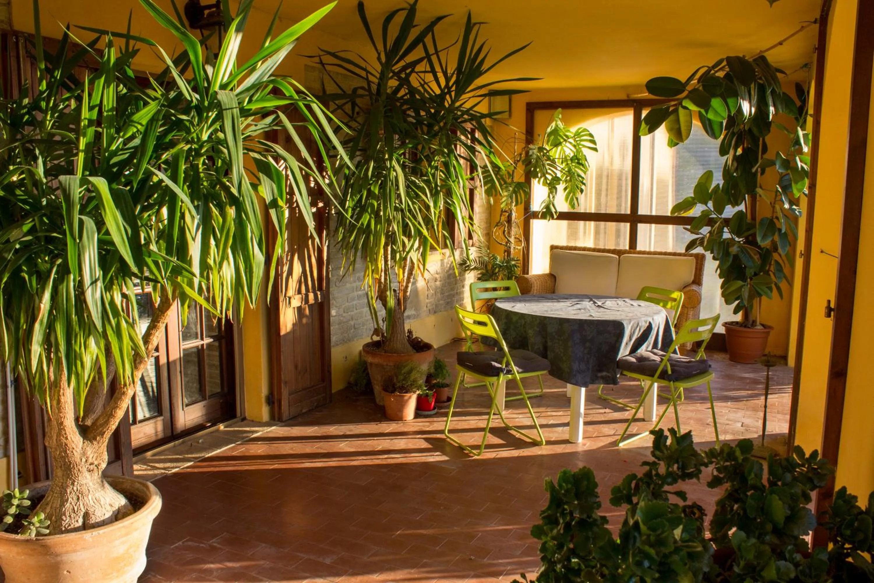 Property building in B&B Salvarosa