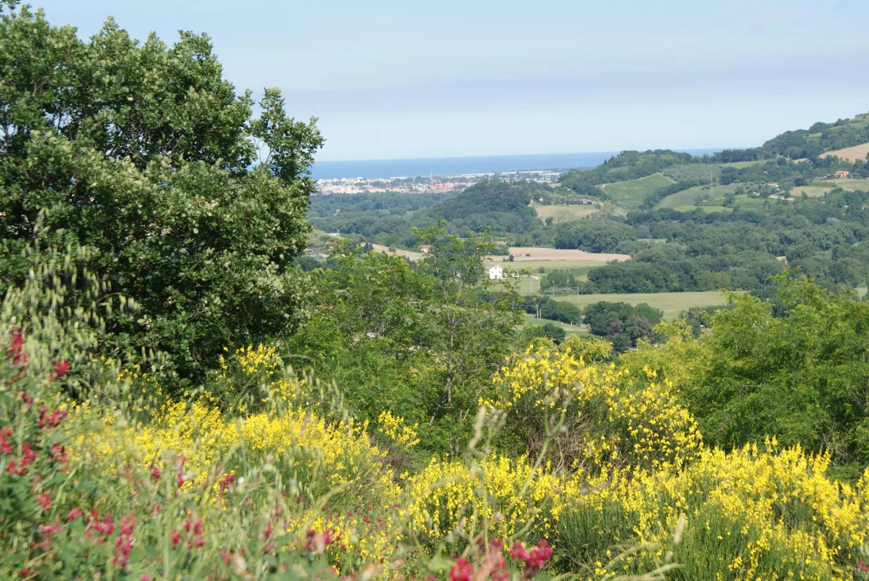 Sea view in B&B Salvarosa