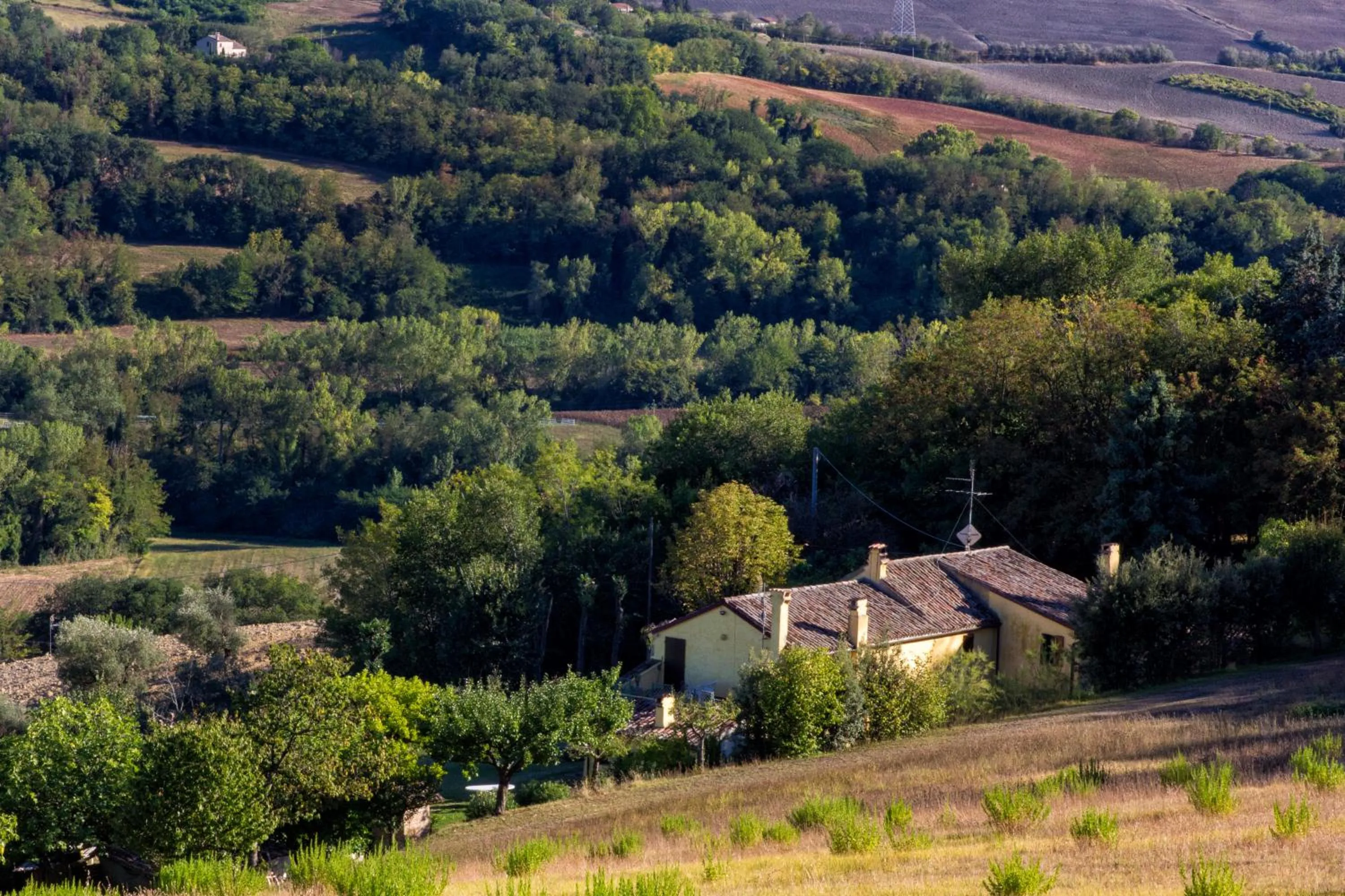Quiet street view in B&B Salvarosa