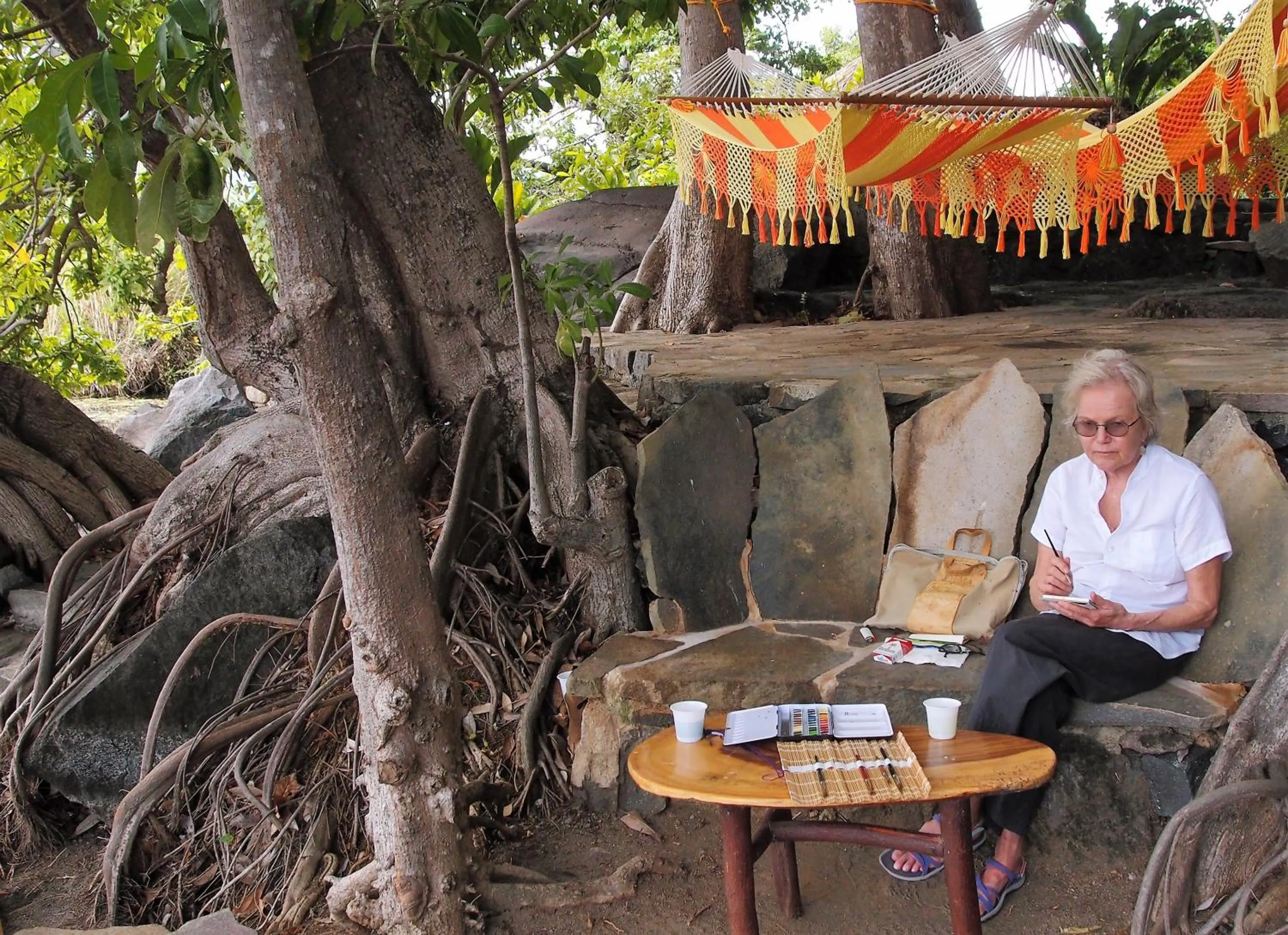 Zopango Orchids Island