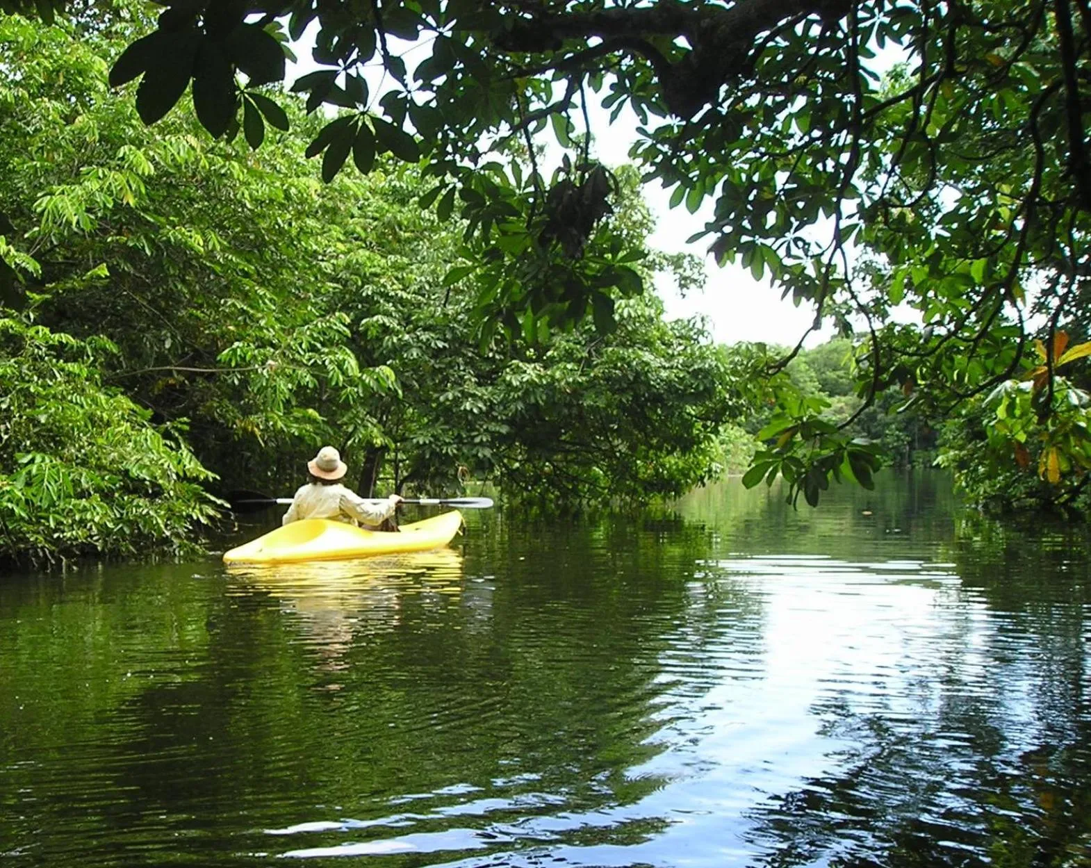 Zopango Orchids Island