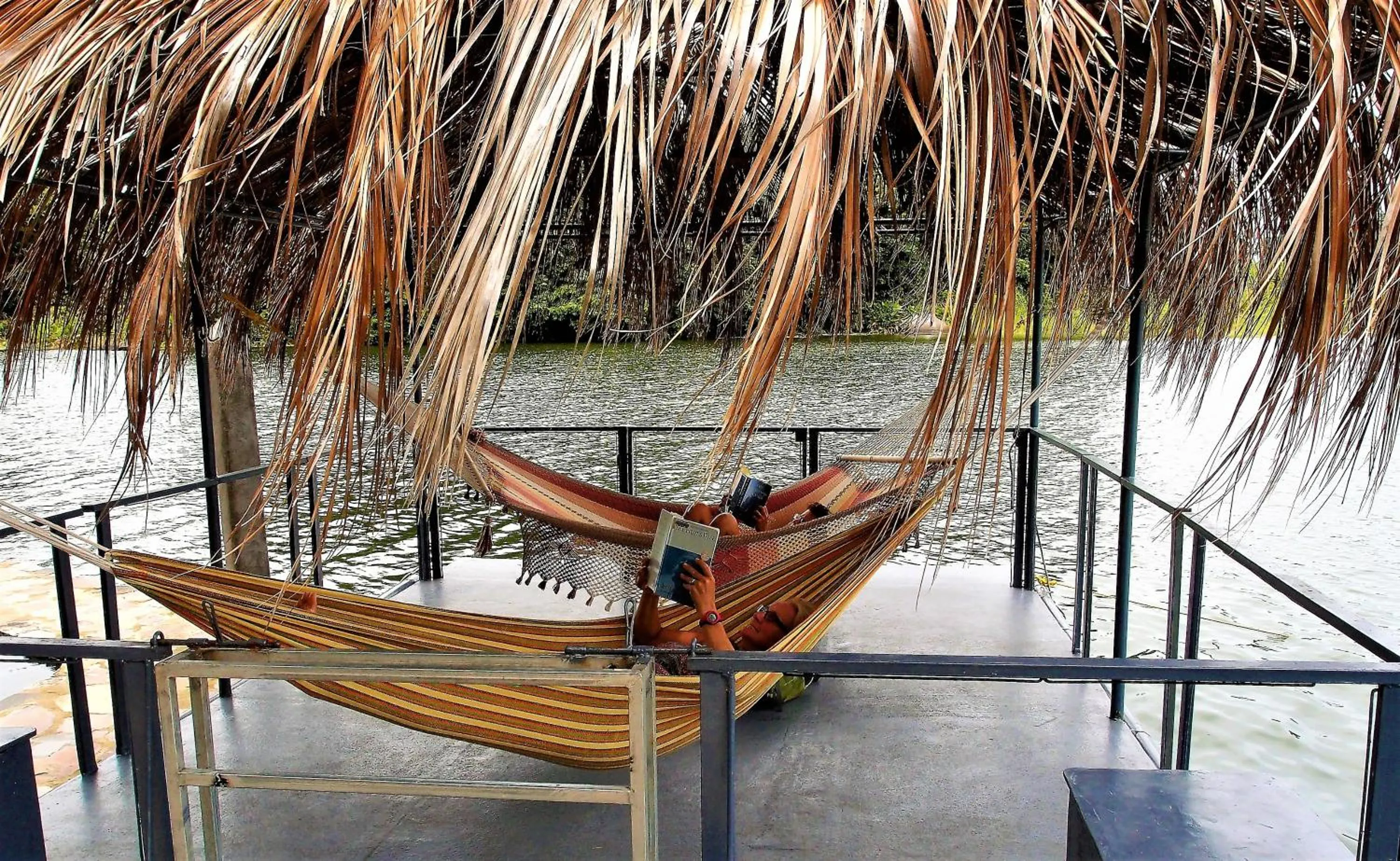 Zopango Orchids Island