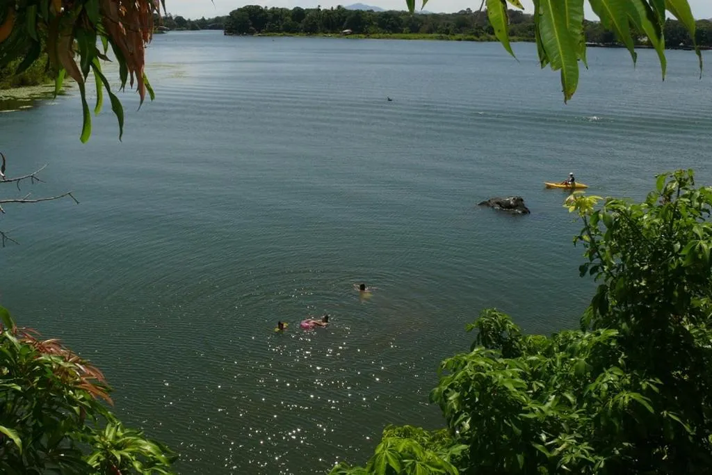 Zopango Orchids Island