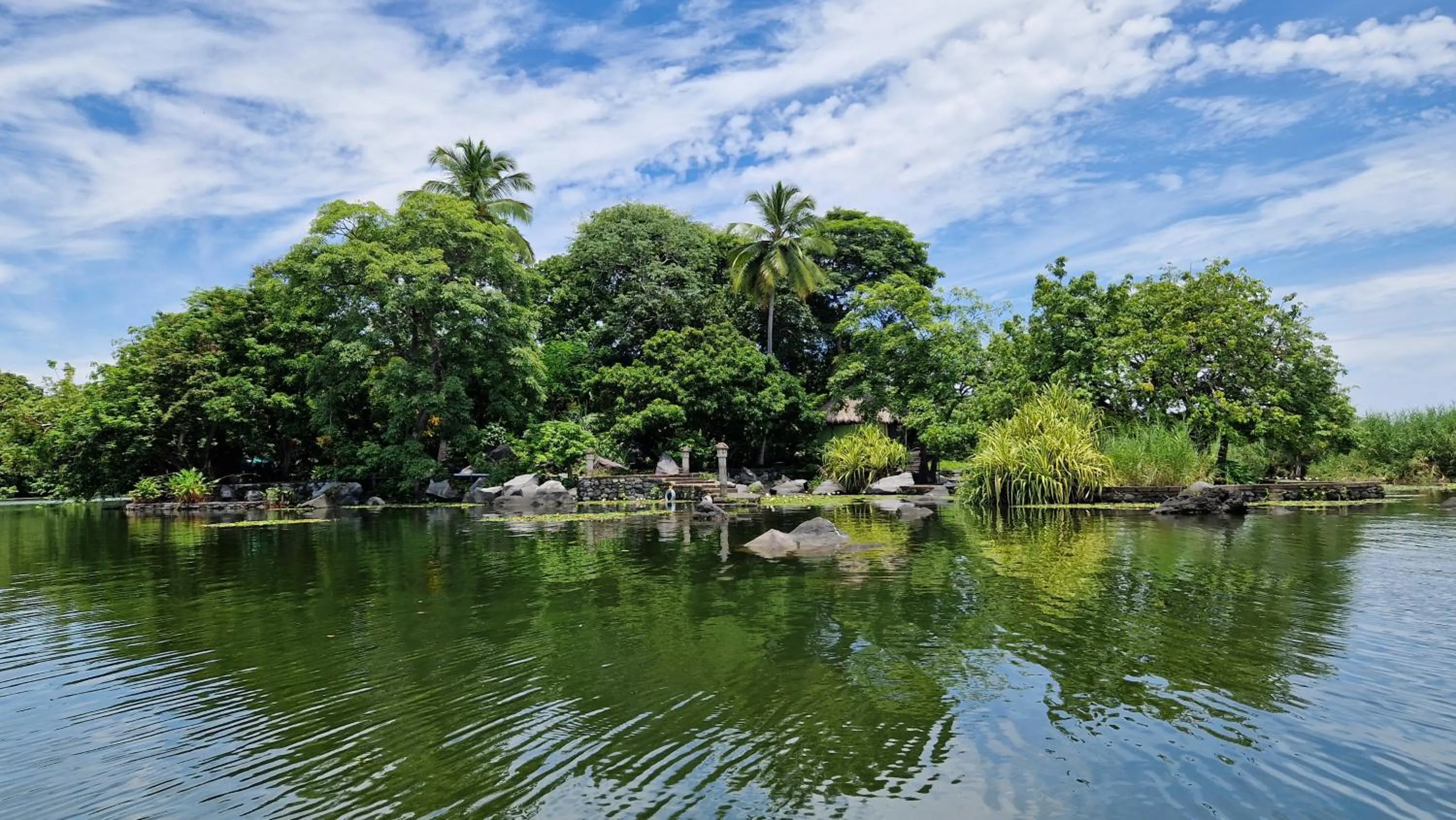 Zopango Orchids Island
