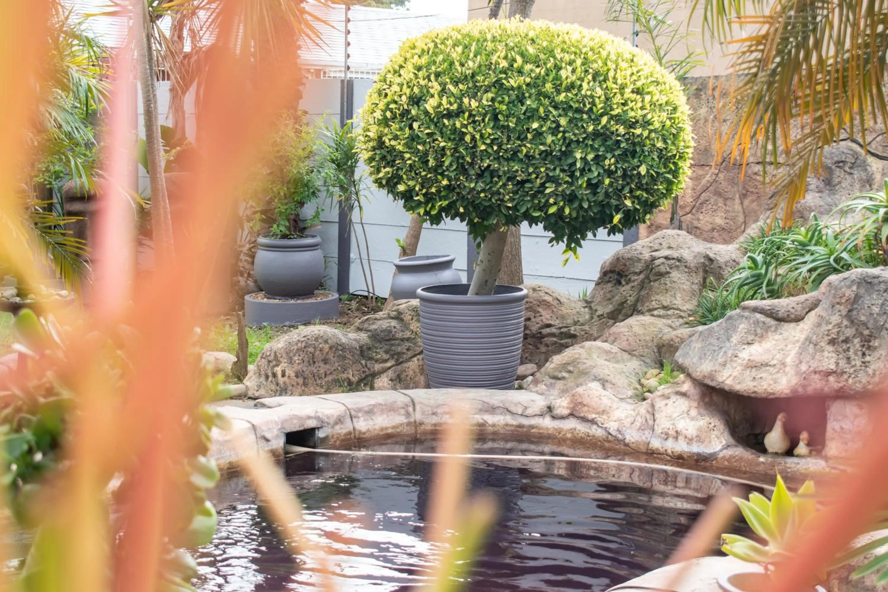 Garden in Balmoral Lodge