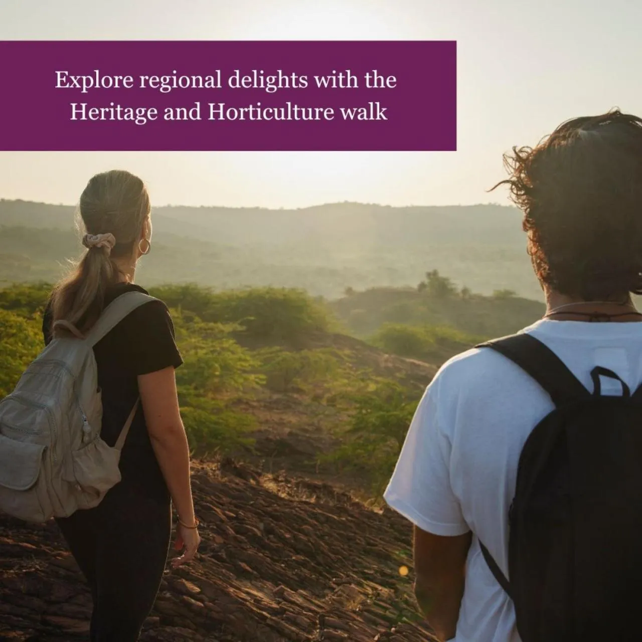 Activities in Six Senses Fort Barwara Sawai Madhopur