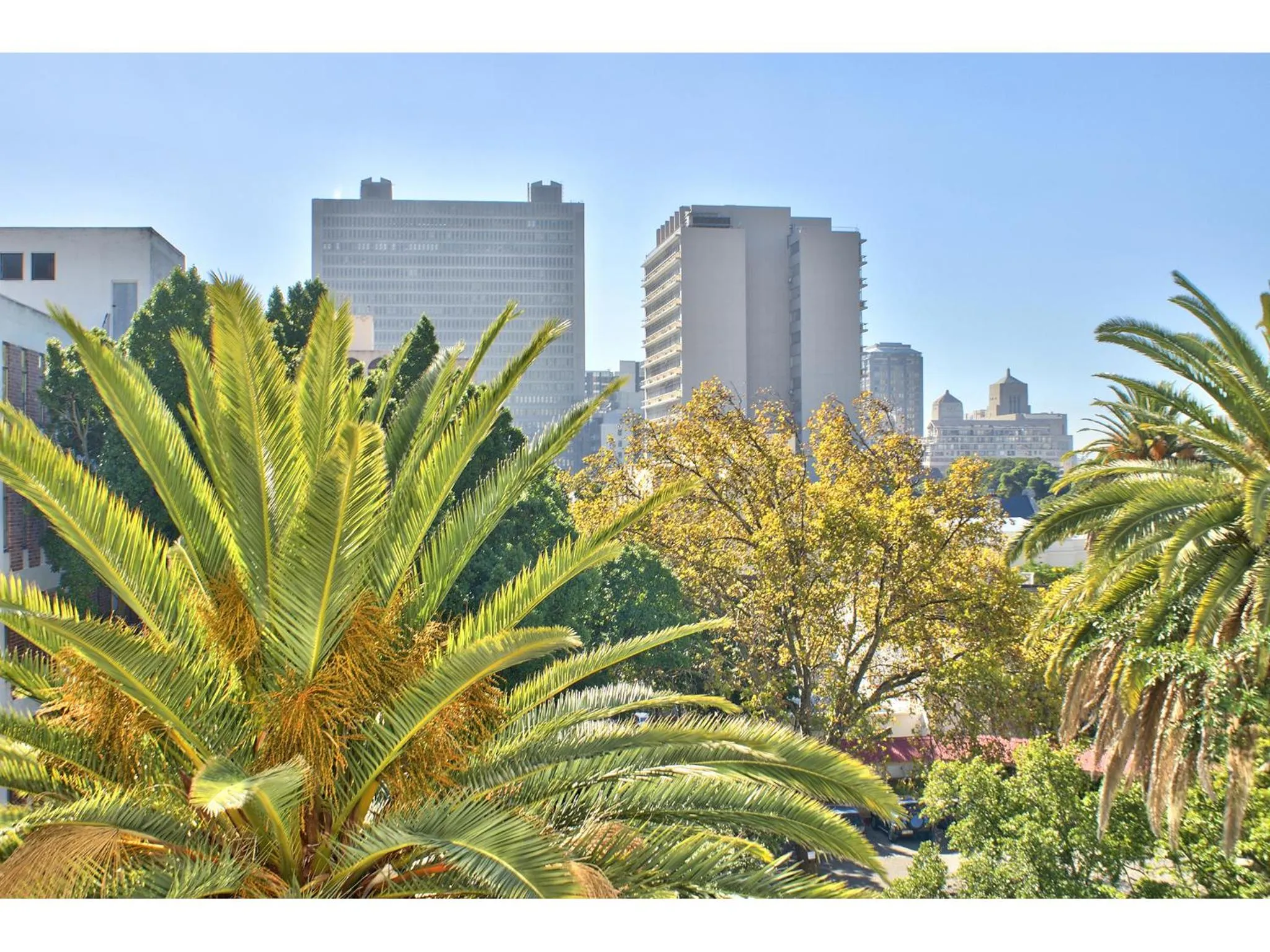 Property building in 437 St Martini Gardens Apartments