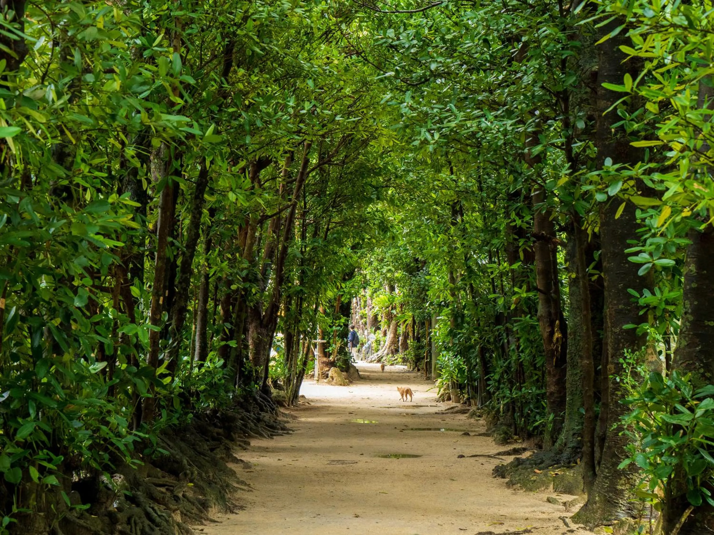 Nearby landmark in ADAN RESORT 灯 - Lamp -
